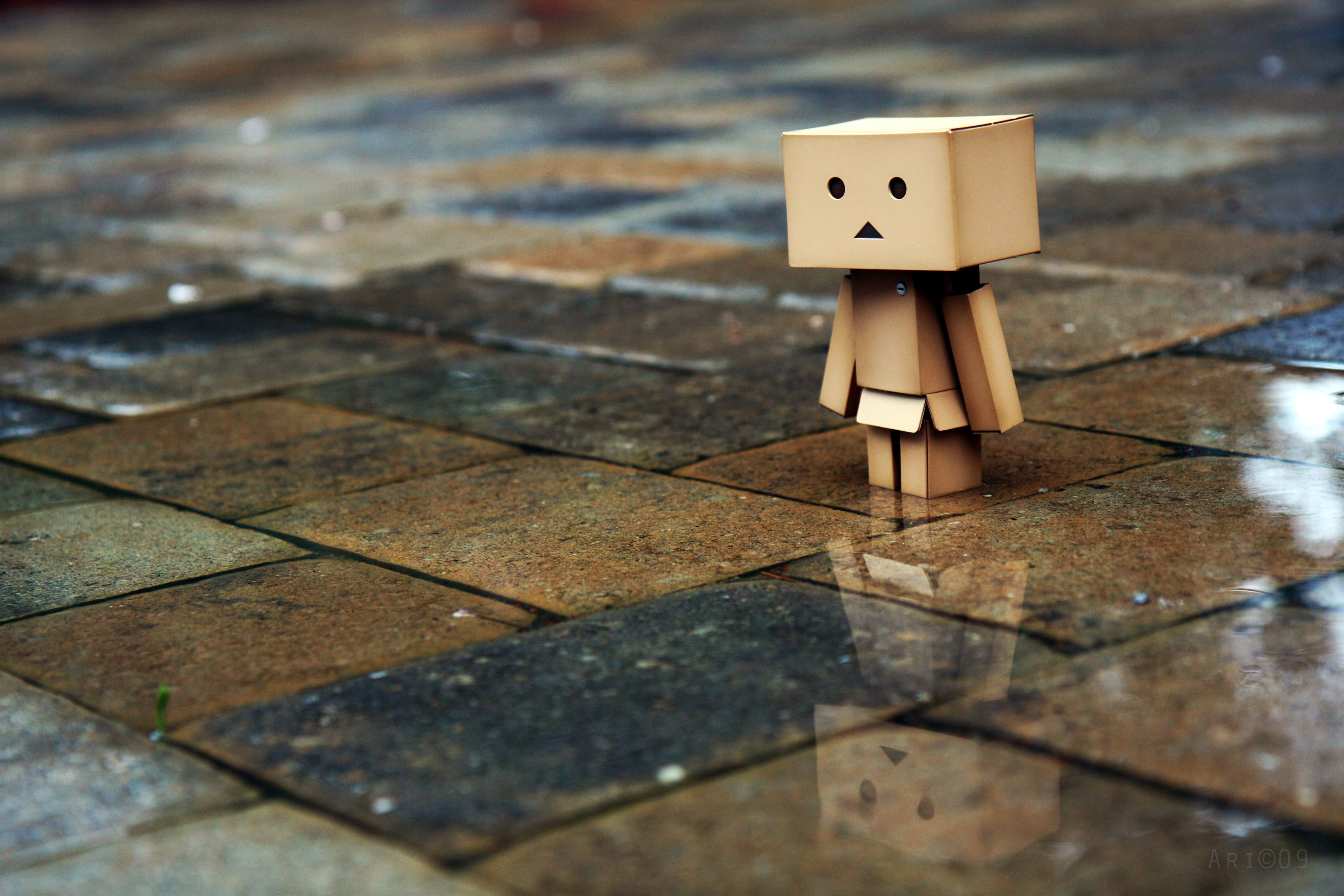 rain, 4K, Danbo, macro, HD Wallpaper