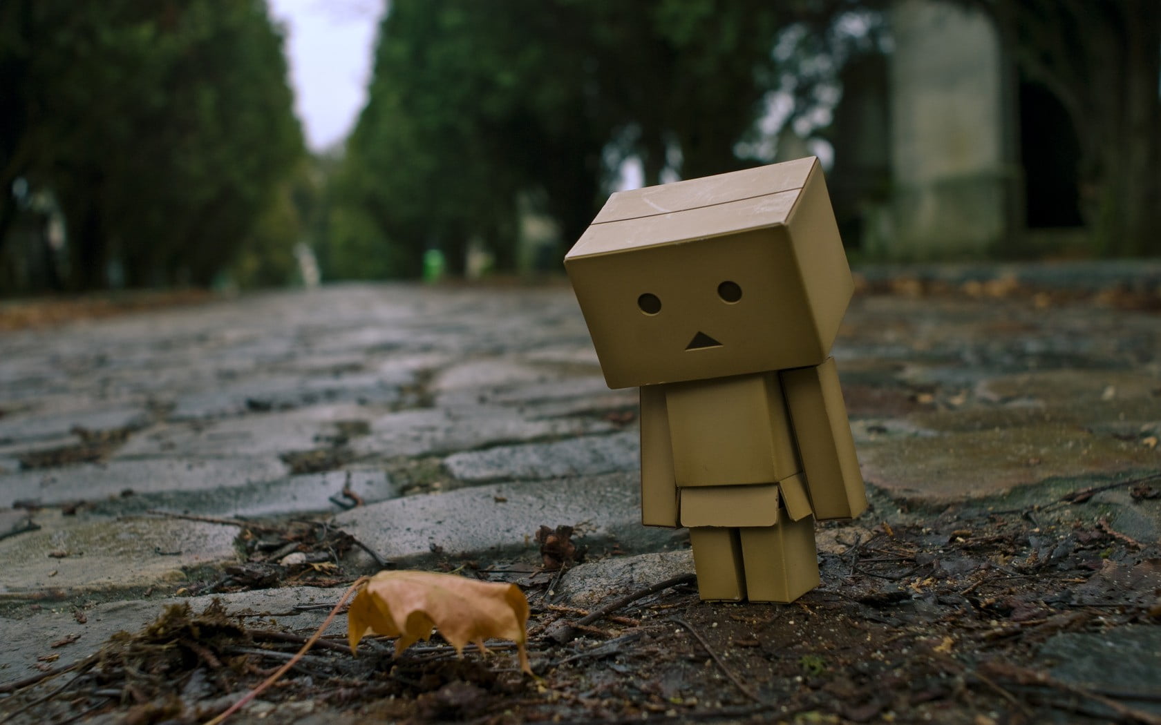 representation, focus on foreground, field, robot, art and craft, nature, wood - material, tree, chest, land, no people, brown, human representation, leaves, HD Wallpaper