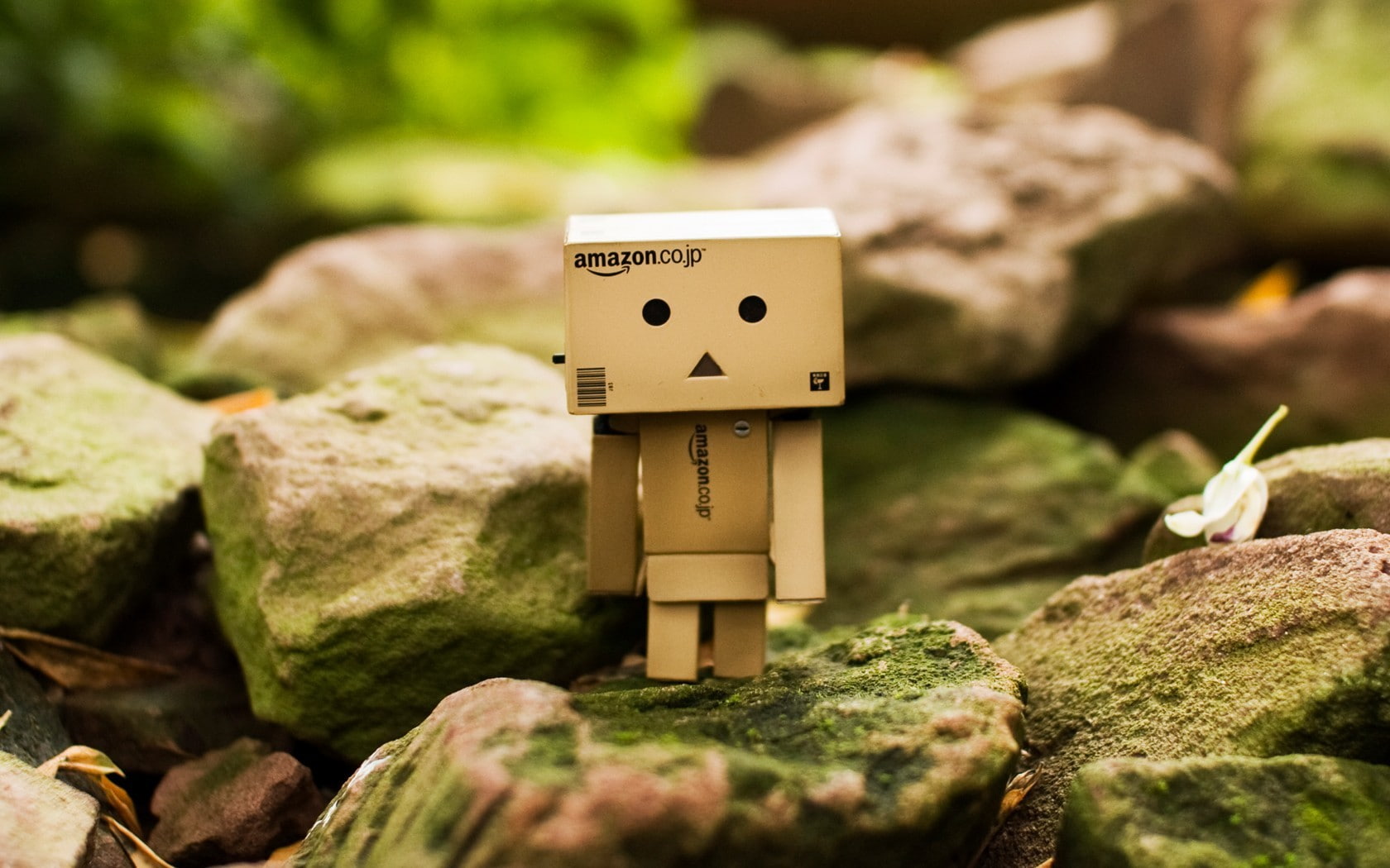 robot, rock - object, text, creativity, close-up, craft, representation, rock, plant, nature, 720P, stone - object, art and craft, human representation, HD Wallpaper