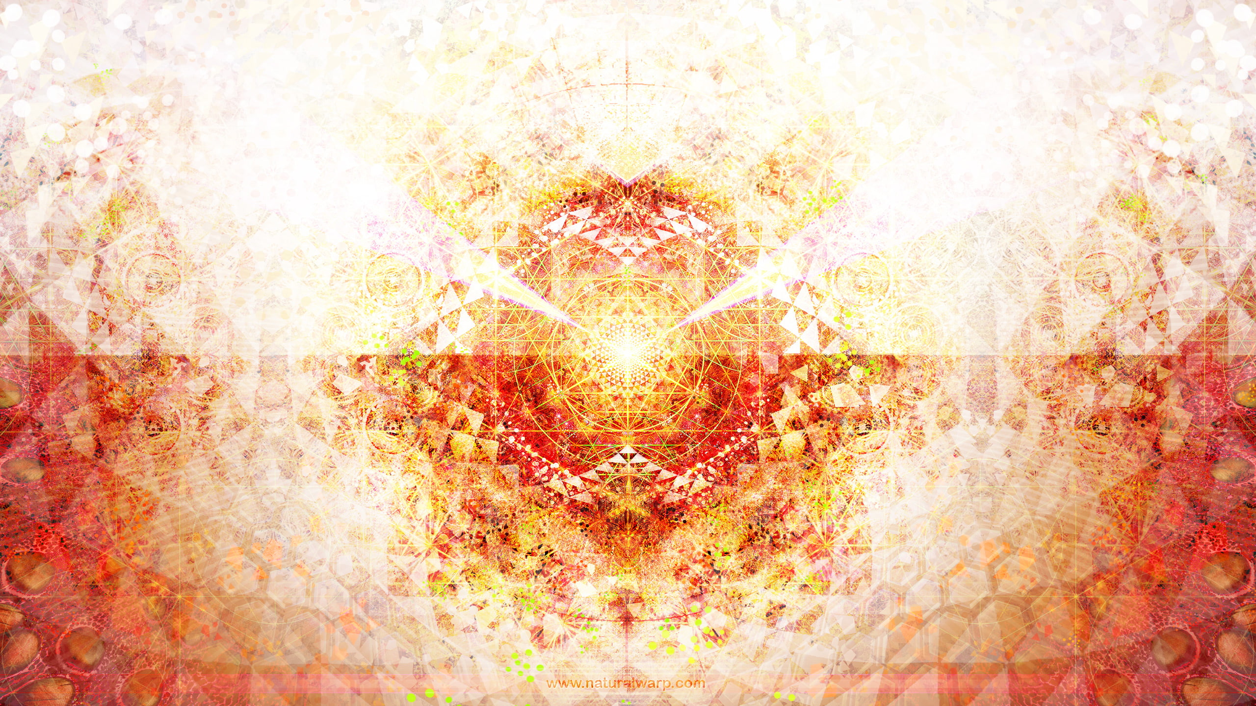 digital art, plant, psychedelic, light - natural phenomenon, abstract backgrounds, tree, 2K, abstract, outdoors, multiple exposure, textured, fractal, HD Wallpaper