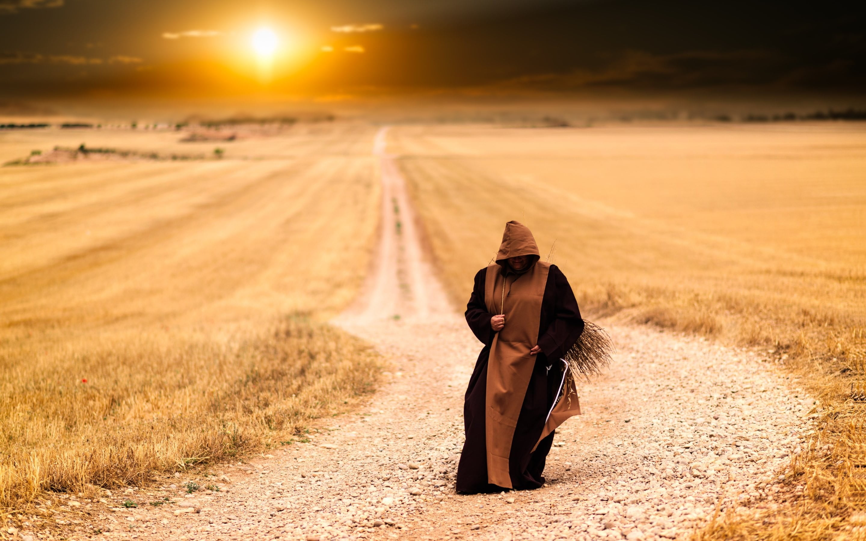 2K, rear view, path, full length, Sun, landscape, sunset, sky, lifestyles, adult, sunlight, nature, coat, brown, clothing, scenics - nature, outdoors, HD Wallpaper