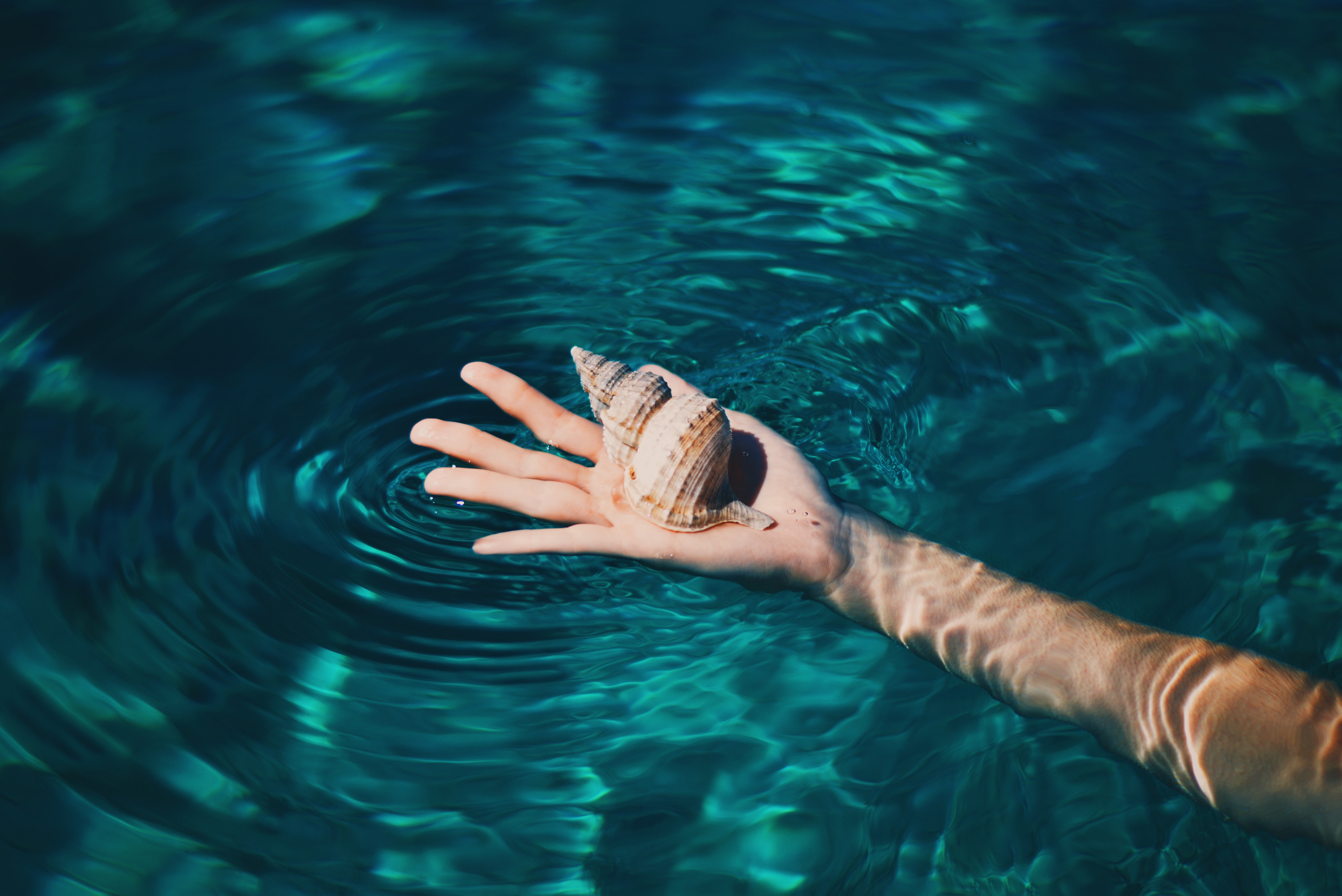 hands, water, seashell, fingers, photography, 5K, HD Wallpaper