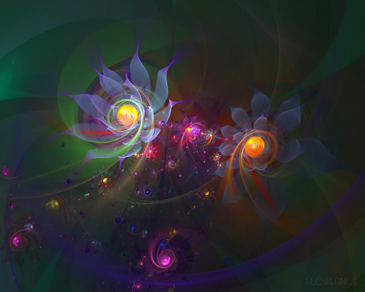 close-up, black background, indoors, bright, circle, beauty in nature, pattern, plant, digitally Generated Image, no people, purple, glowing, computer Graphic, HD Wallpaper