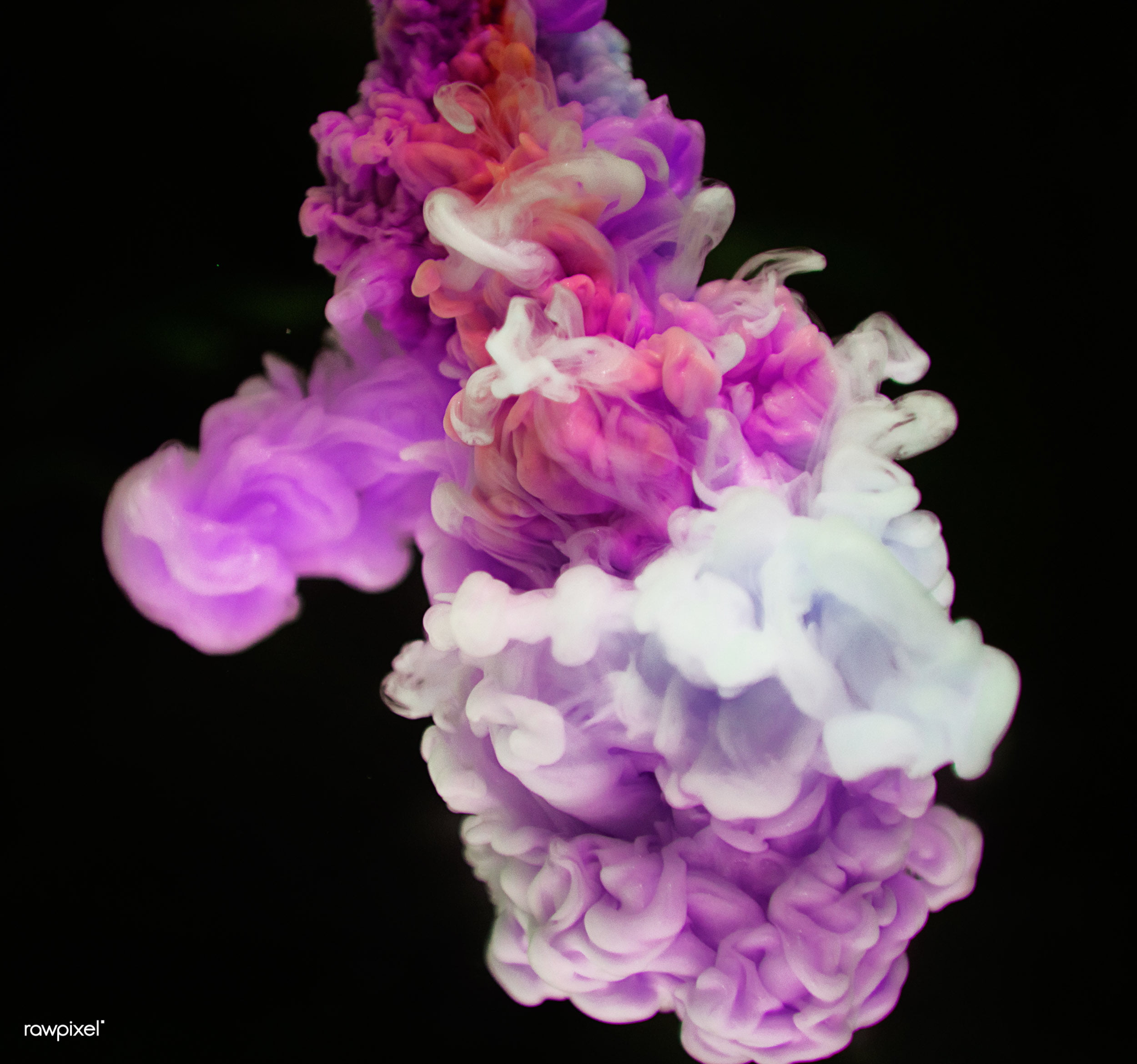  studio shot, pink, purple, abstract, clots, 1080P, fragility, ink, underwater, colorful smoke, sea, vulnerability, motion, nature, pink color, HD Wallpaper