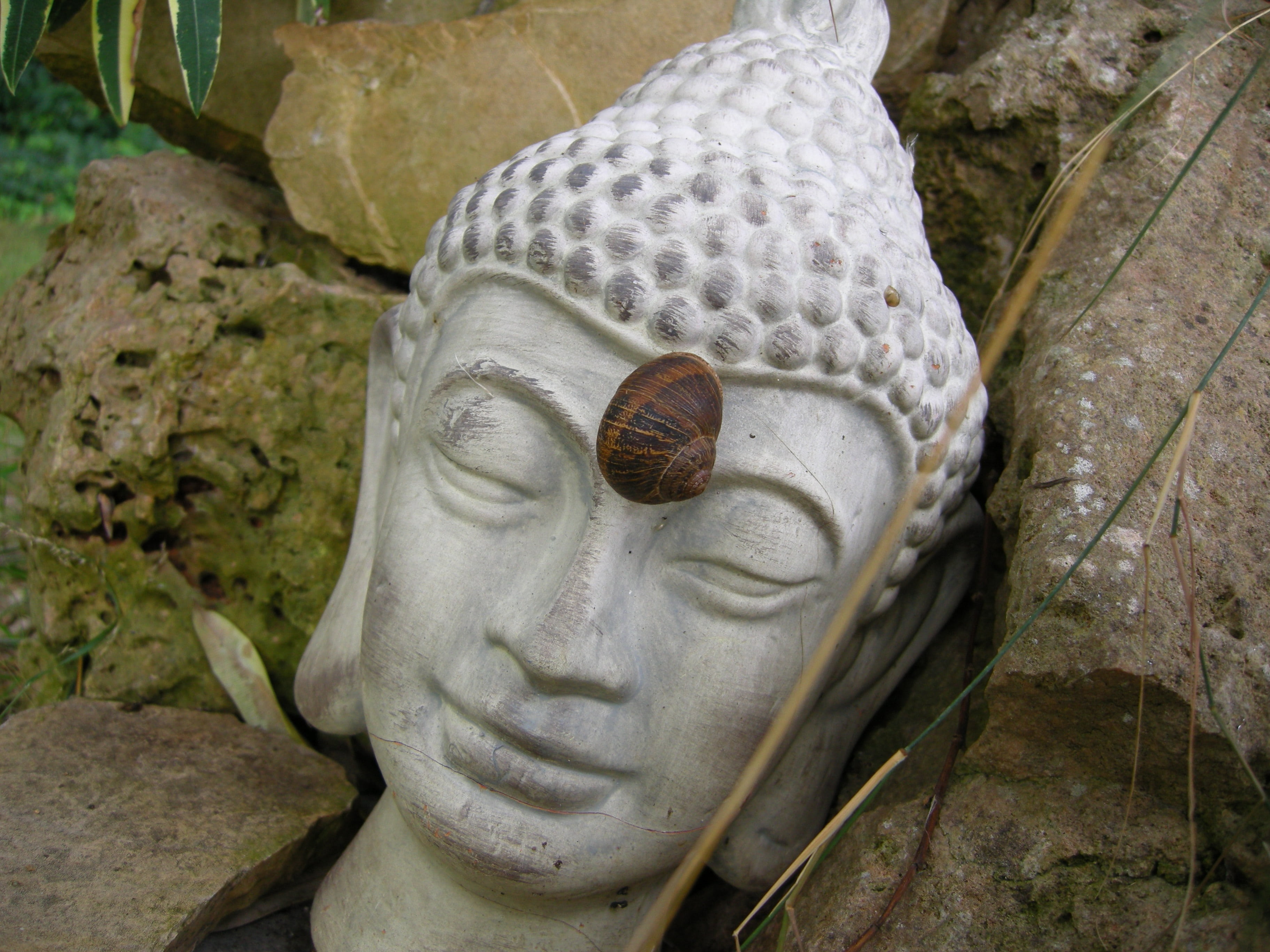 2K, representation, stone, art and craft, deity, statue, rest, sculpture, animal wildlife, figure, male likeness, religion, day, stirnchakra, no people, HD Wallpaper