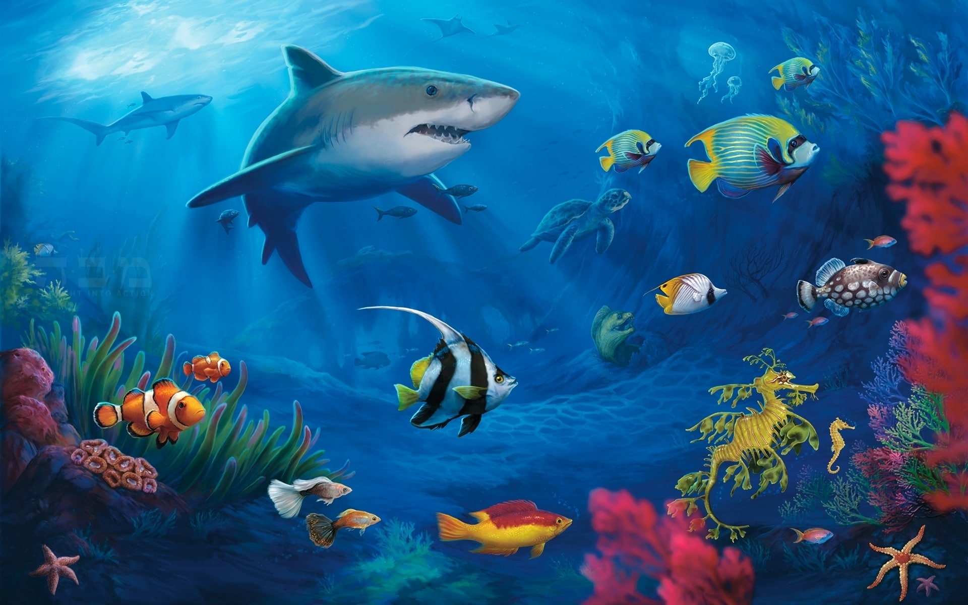 world, coral, turtles, 1080P, underwater, sharks, moray eel, live, HD Wallpaper