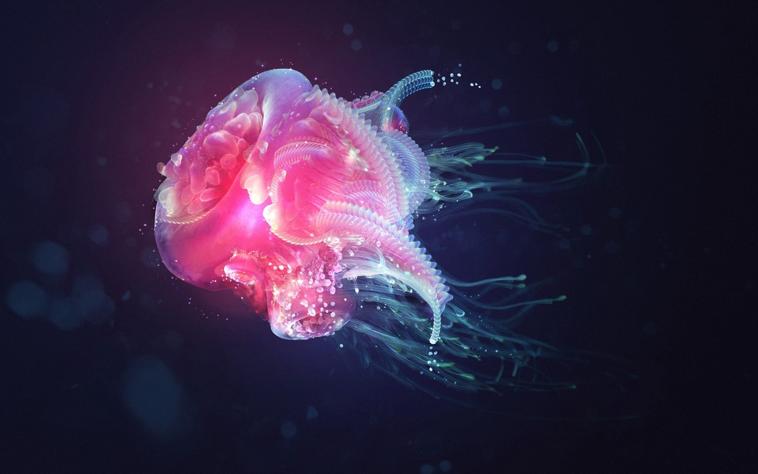 aquarium, animal themes, luminosity, 2K, undersea, sea Life, shadow, one animal, animals in the wild, swimming, marine, underwater, light, jellyfish, blue, HD Wallpaper