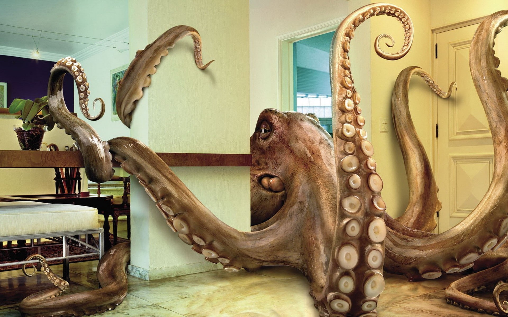 1080P, mammal, animal themes, indoors, wood - Material, built structure, old, art and craft, old-fashioned, The tentacles, antique, design, HD Wallpaper