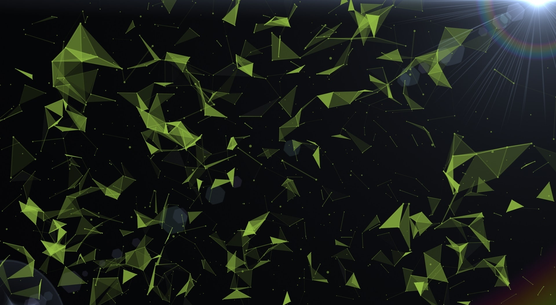 hd, sunlight, www.gamer254.com, high angle view, day, no people, abundance, plant, plexus, close-up, pattern, black, digital, nature, Abstract, HD Wallpaper