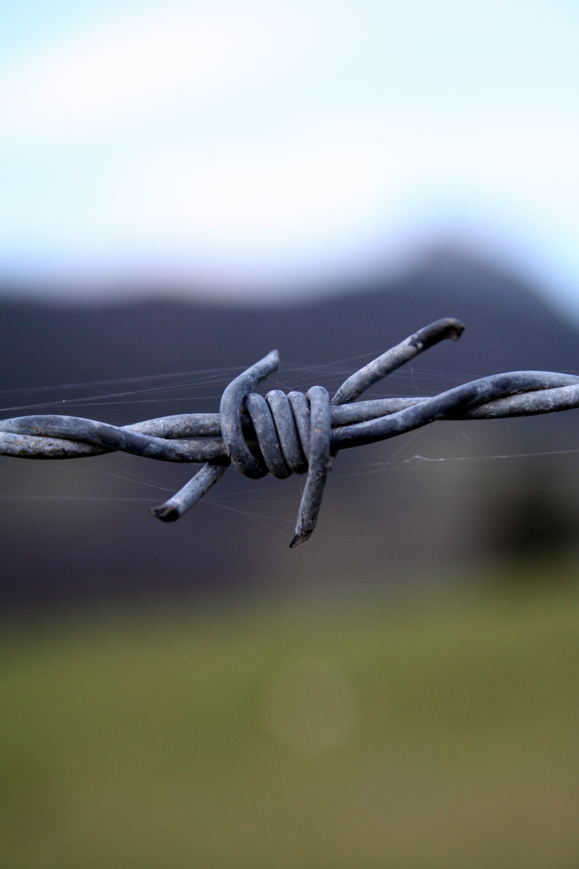 boundary, warning sign, blur, plexus, selective focus, nature, protection, no people, strength, security, outdoors, day, chain, focus on foreground, close-up, Phone HD Wallpaper