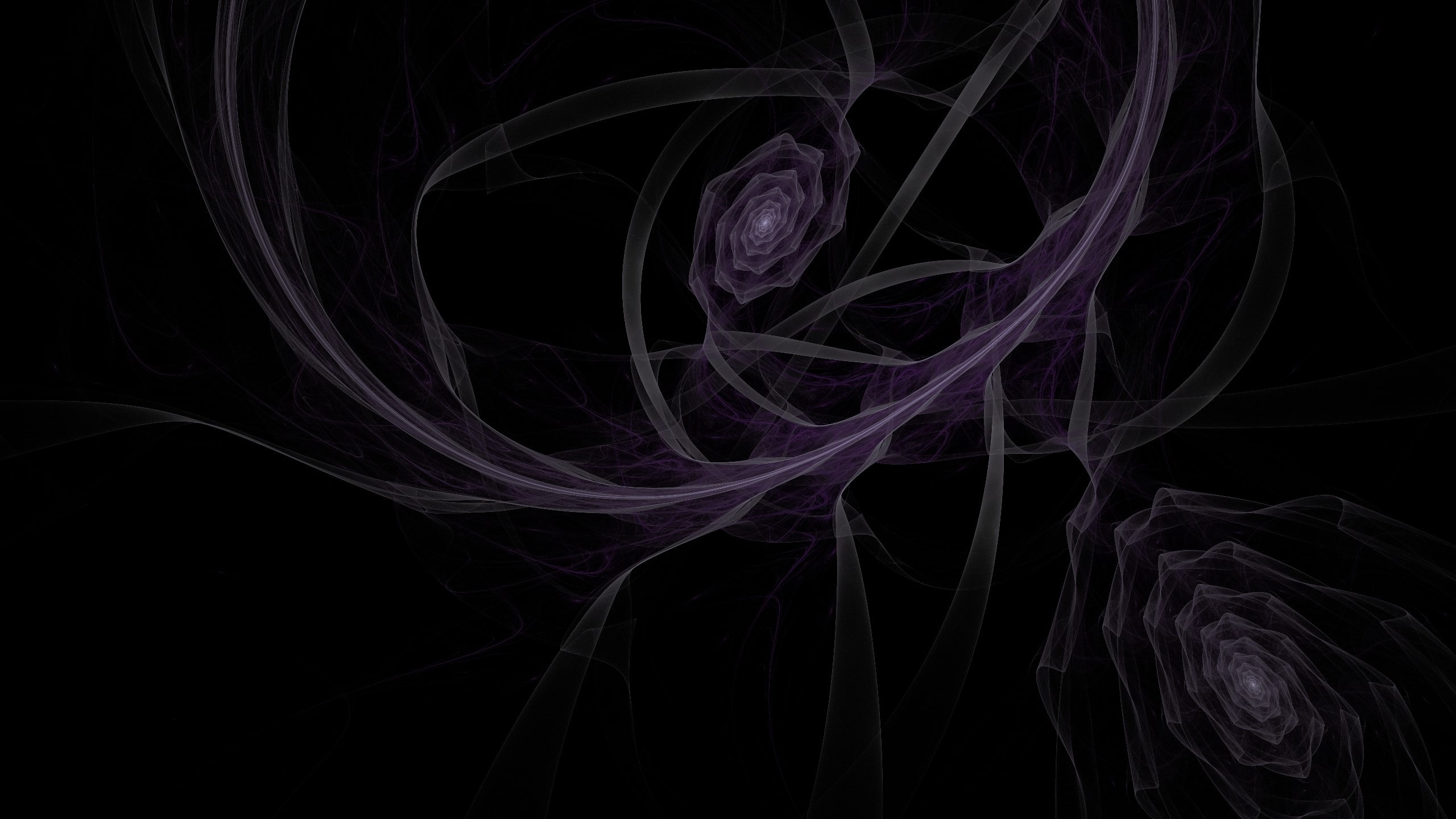 Background, swirl, no people, changing form, close-up, nature, pattern, copy space, burning, Plexus, indoors, chaos, black background, shape, motion, abstract, HD Wallpaper