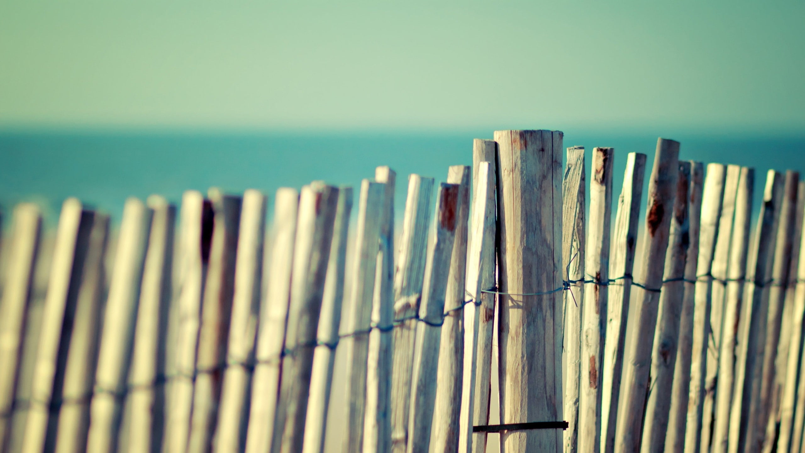 wooden post, clear sky, post, Plexus, security, sky, 2K, wire, metal, safety, water, barrier, horizon, day, tranquility, outdoors, Wooden, sea, selective focus, HD Wallpaper