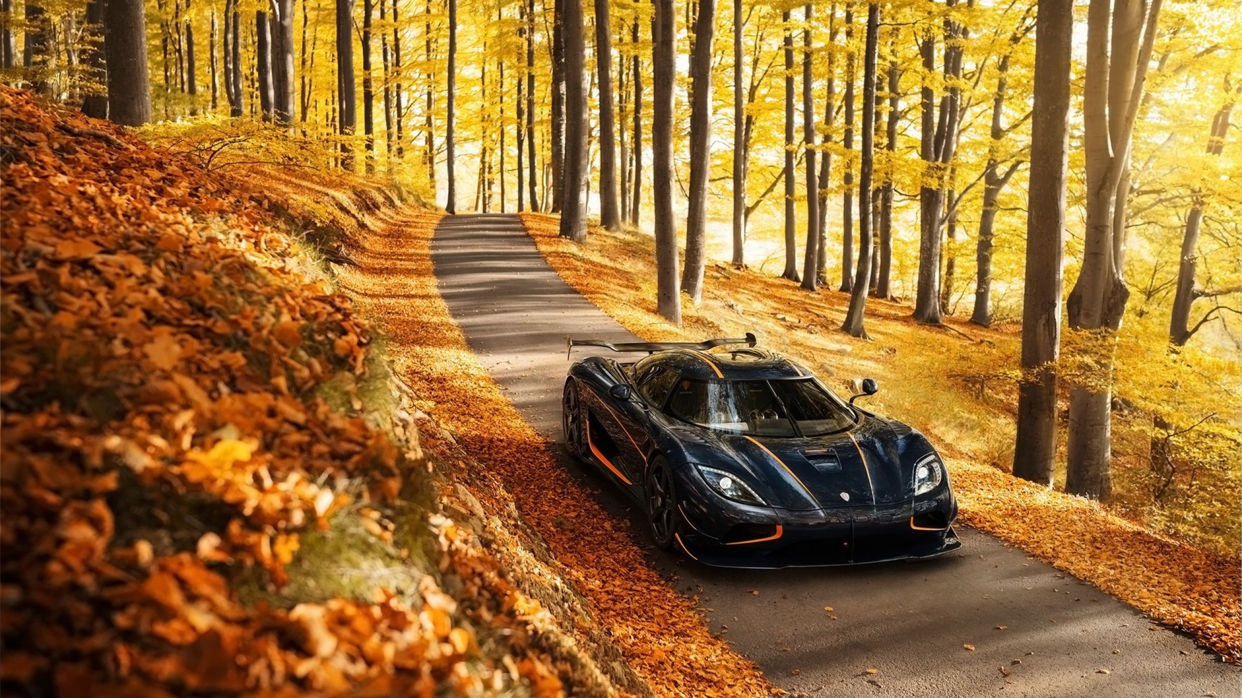 car, Koenigsegg Agera, Koenigsegg, 2K, HD Wallpaper