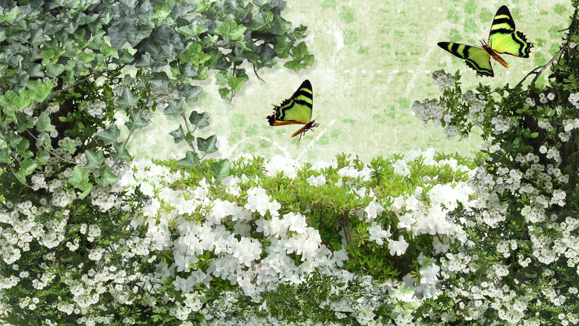 leaves, 3d and abstract, plants, summer, flowers, blessing, green, flower, 1080P, spring, firefox persona, butterflies, HD Wallpaper