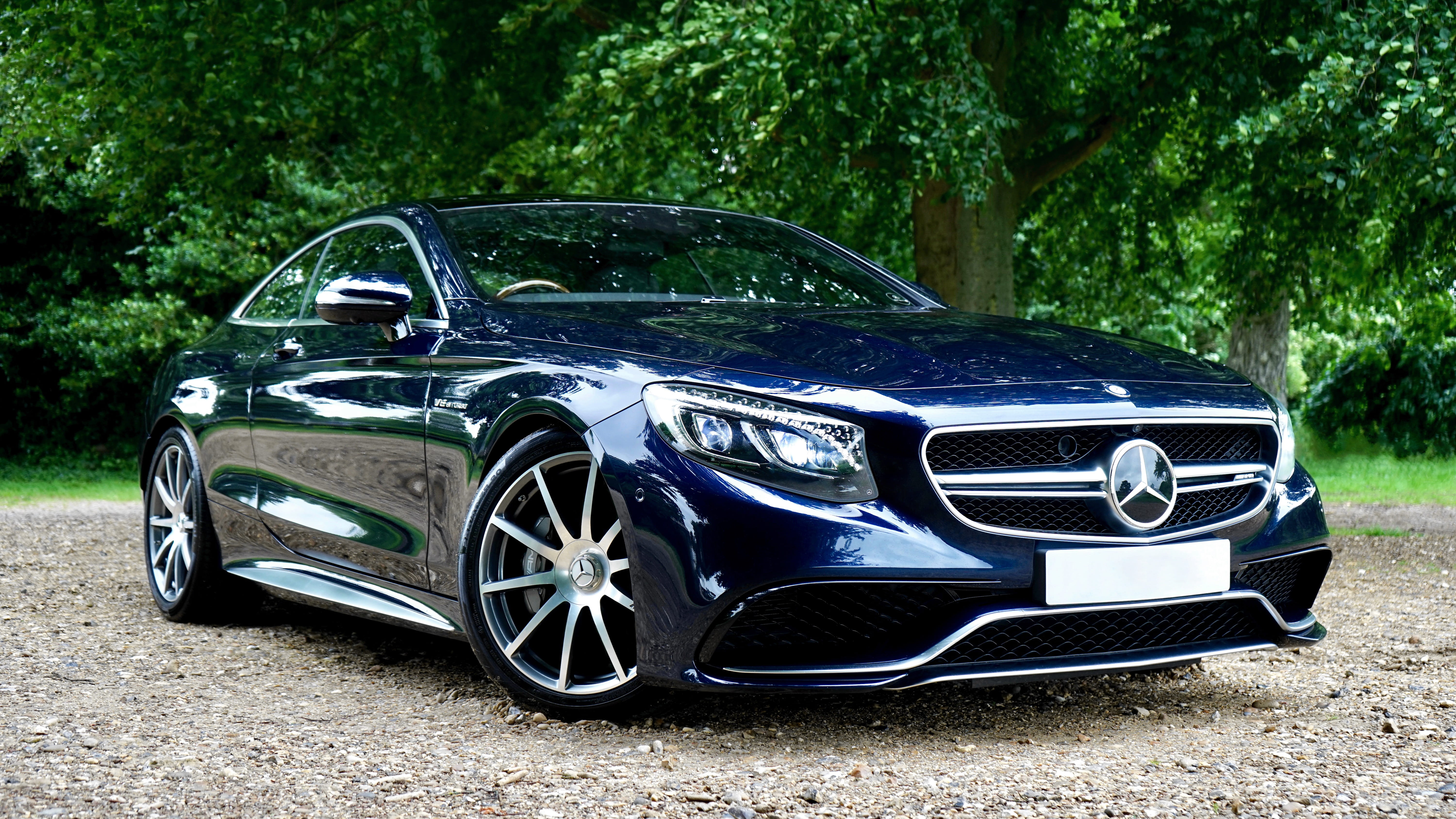 plant, s63 coupe, mercedes coupe, near, blue, 5K, no people, vintage car, Mercedes, speed, auto, automotive, old, land vehicle, stationary, modern, luxury, HD Wallpaper