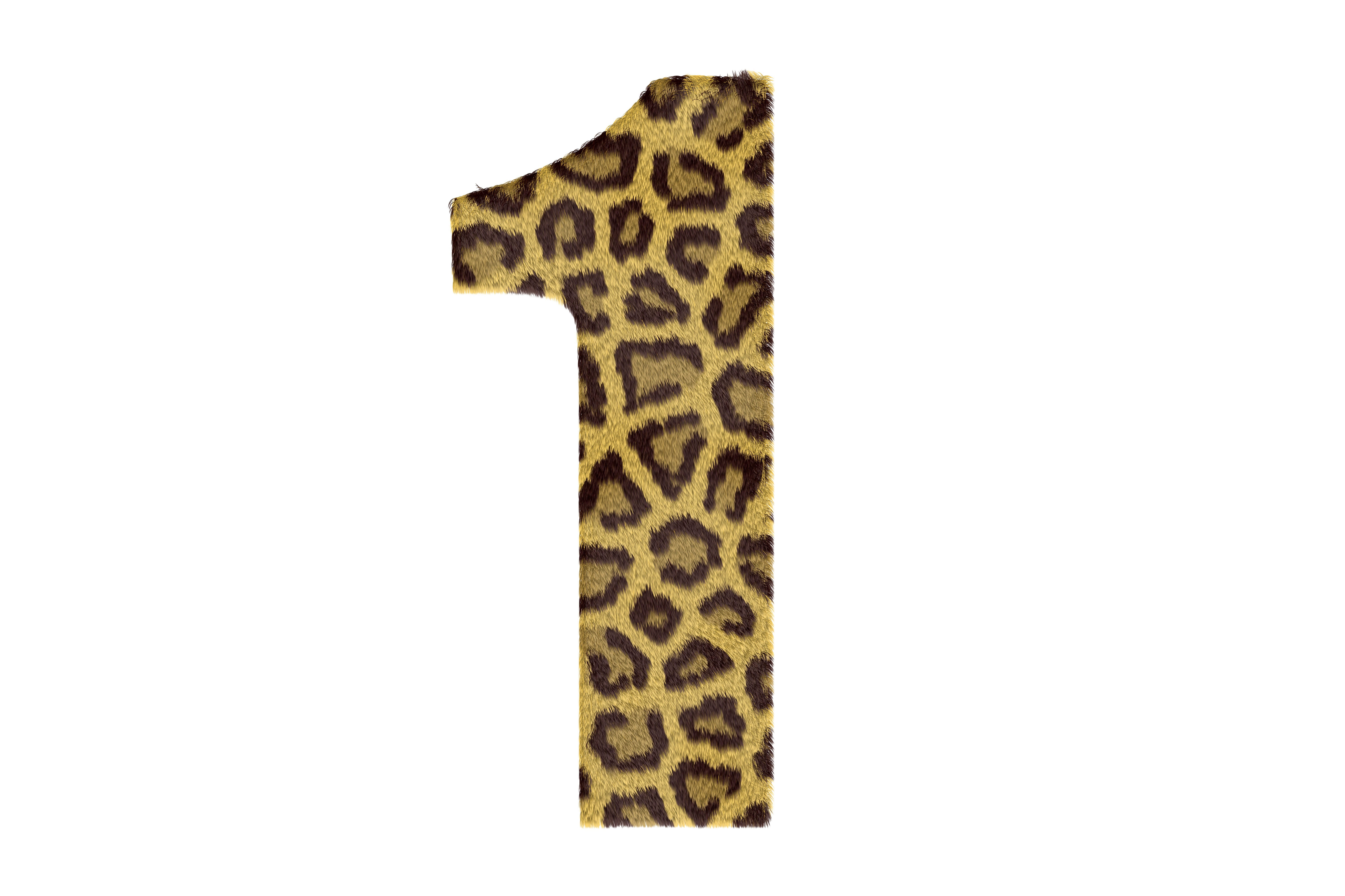 animal, cut out, leopard, day, white color, number, textile, animal markings, 5K, Design, no people, animal themes, art, white background, food and drink, HD Wallpaper