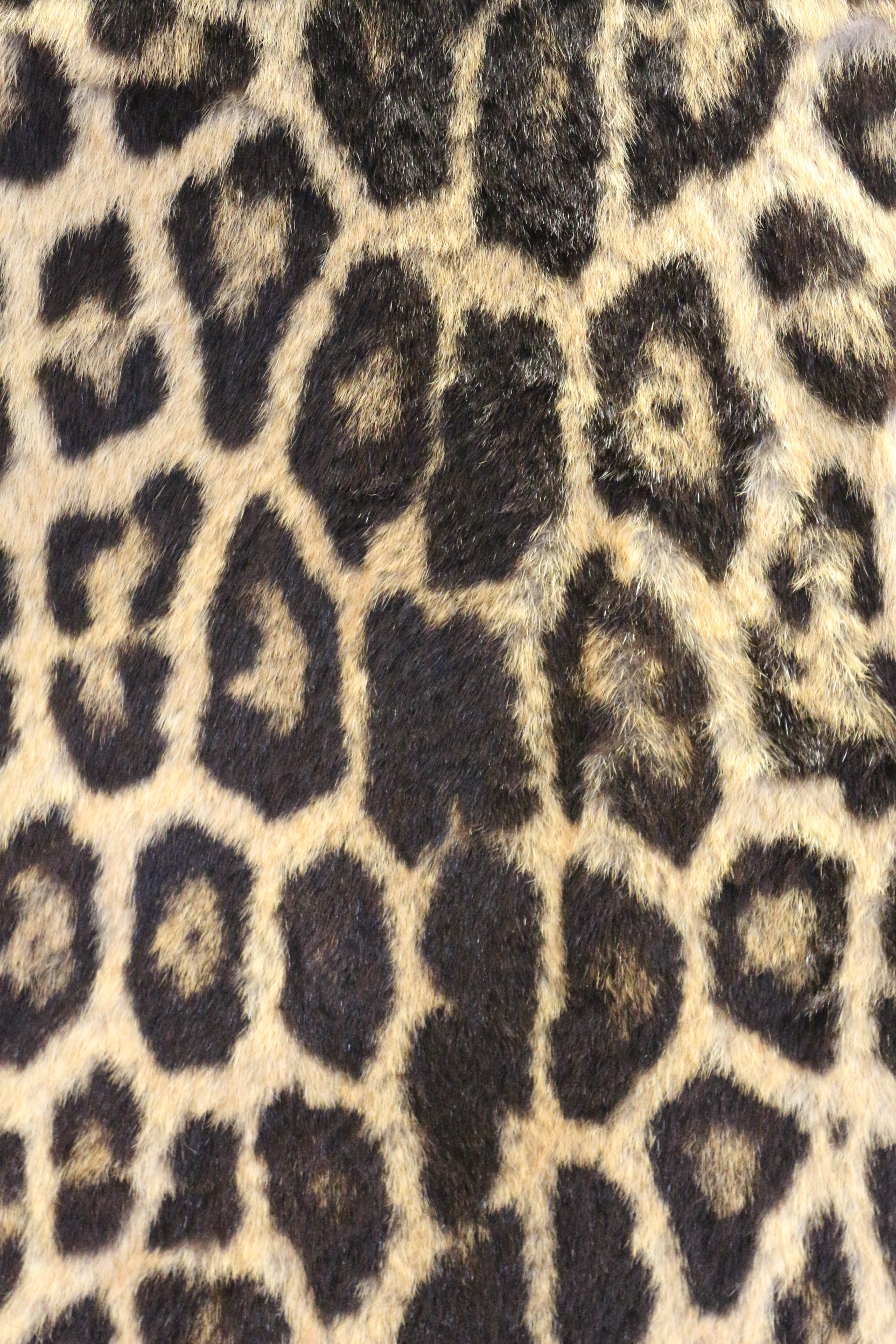 pattern, mammal, one animal, 5K, natural pattern, fur, animal wildlife, backgrounds, animal, dots, zoo, full frame, bold, spotted, animal skin, taupe, Phone HD Wallpaper