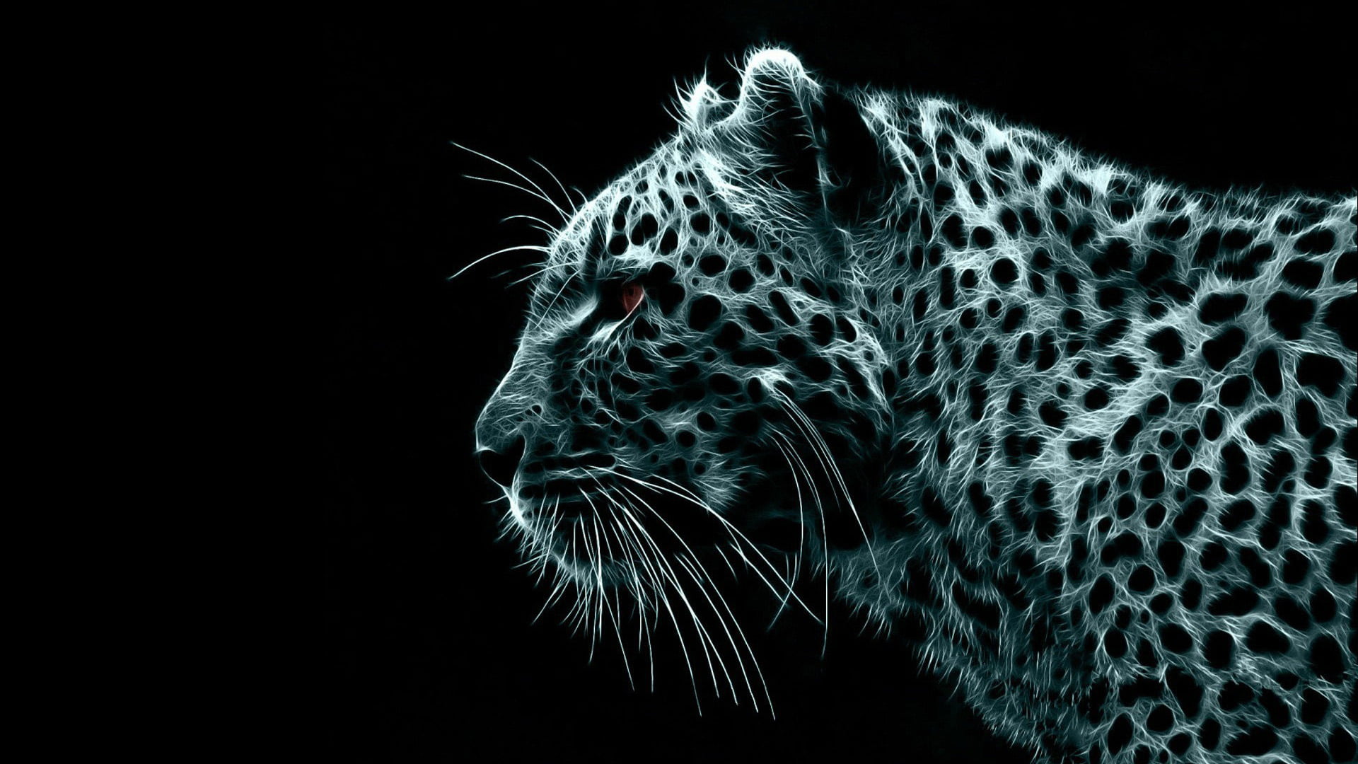 vertebrate, black background, animal themes, animal, animals, carnivora, 1080P, leopard, animal head, big cat, no people, one animal, whisker, predator, HD Wallpaper