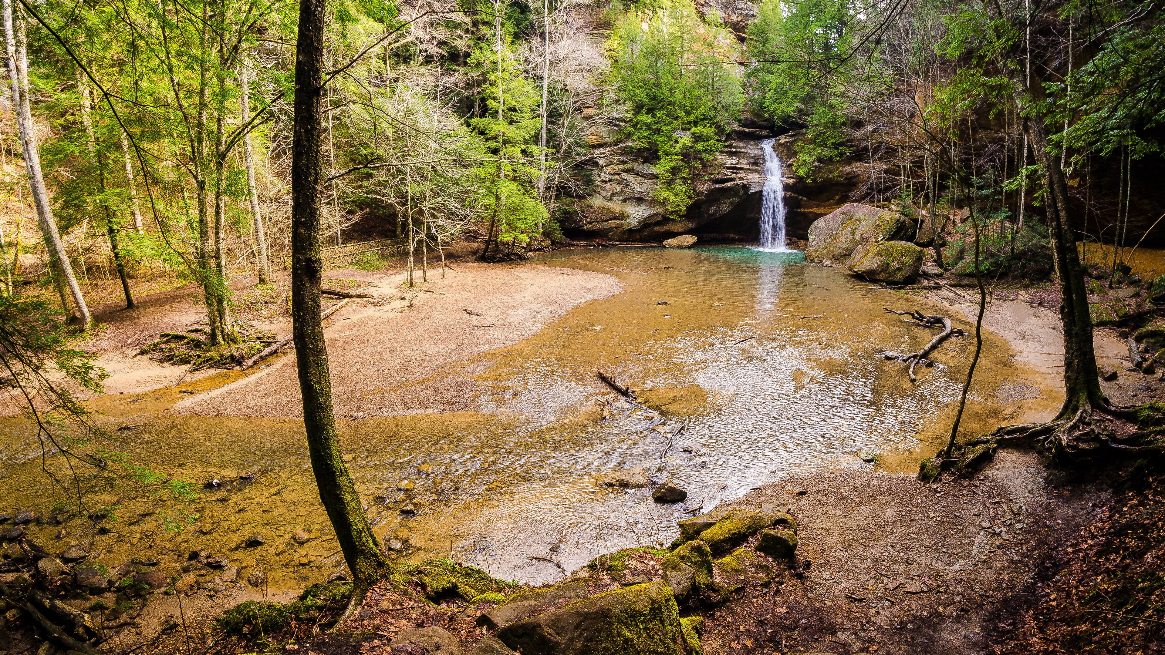 forest, outdoors, motion, trunk, land, tree trunk, flowing water, plant, nature, growth, no people, tree, 4K, non-urban scene, woodland, water, day, pollution, HD Wallpaper