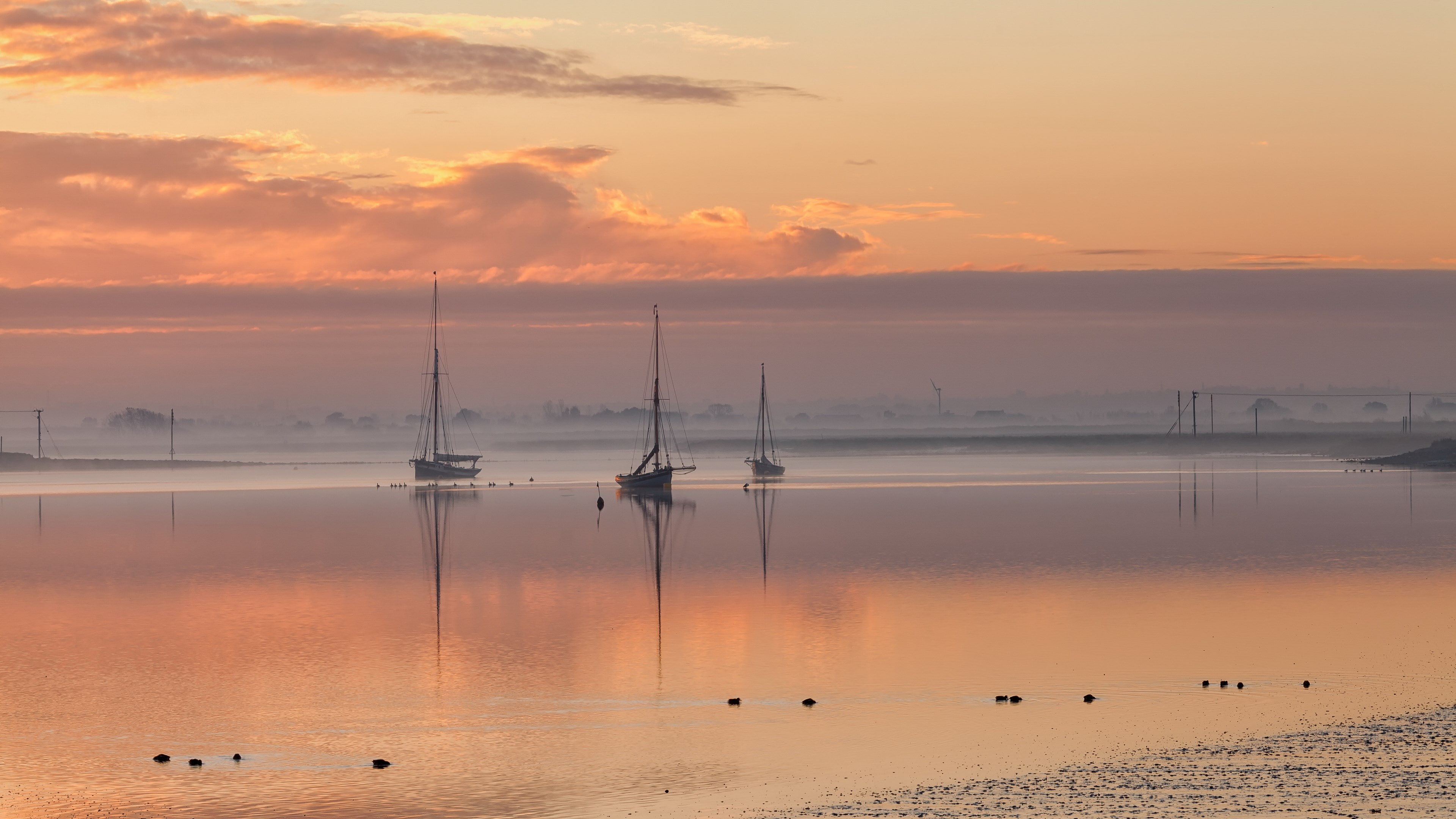 4K, of nature download 3840x2160, HD Wallpaper