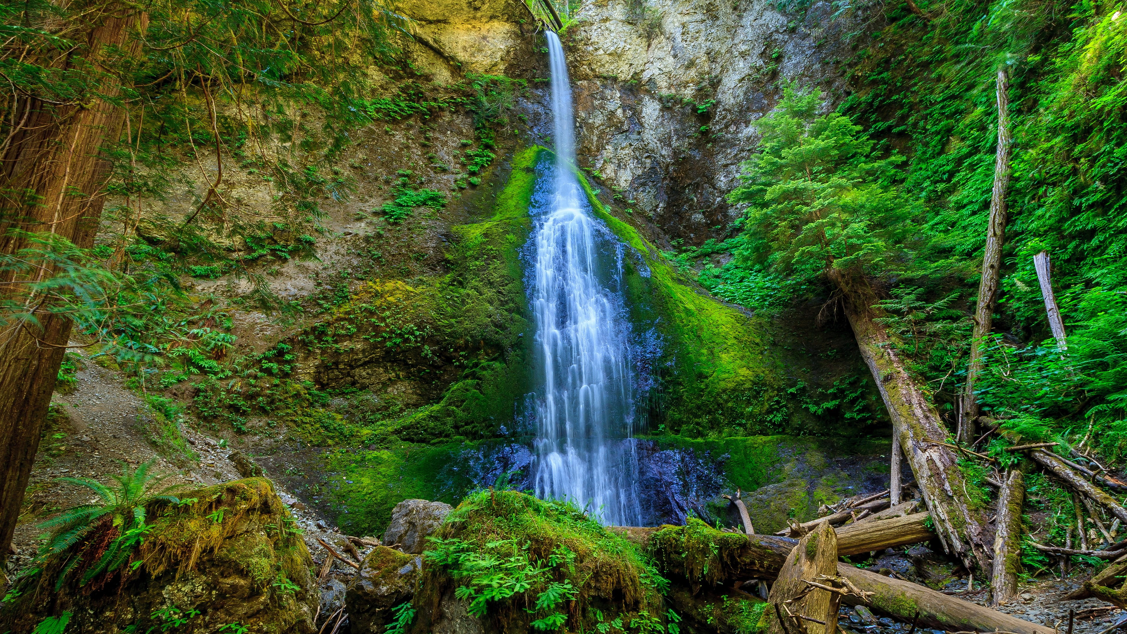 land, waterfall, 4K, nature  for desktop download 3840x2160, outdoors, rainforest, long exposure, no people, green color, tree, nature, forest, rock, growth, HD Wallpaper