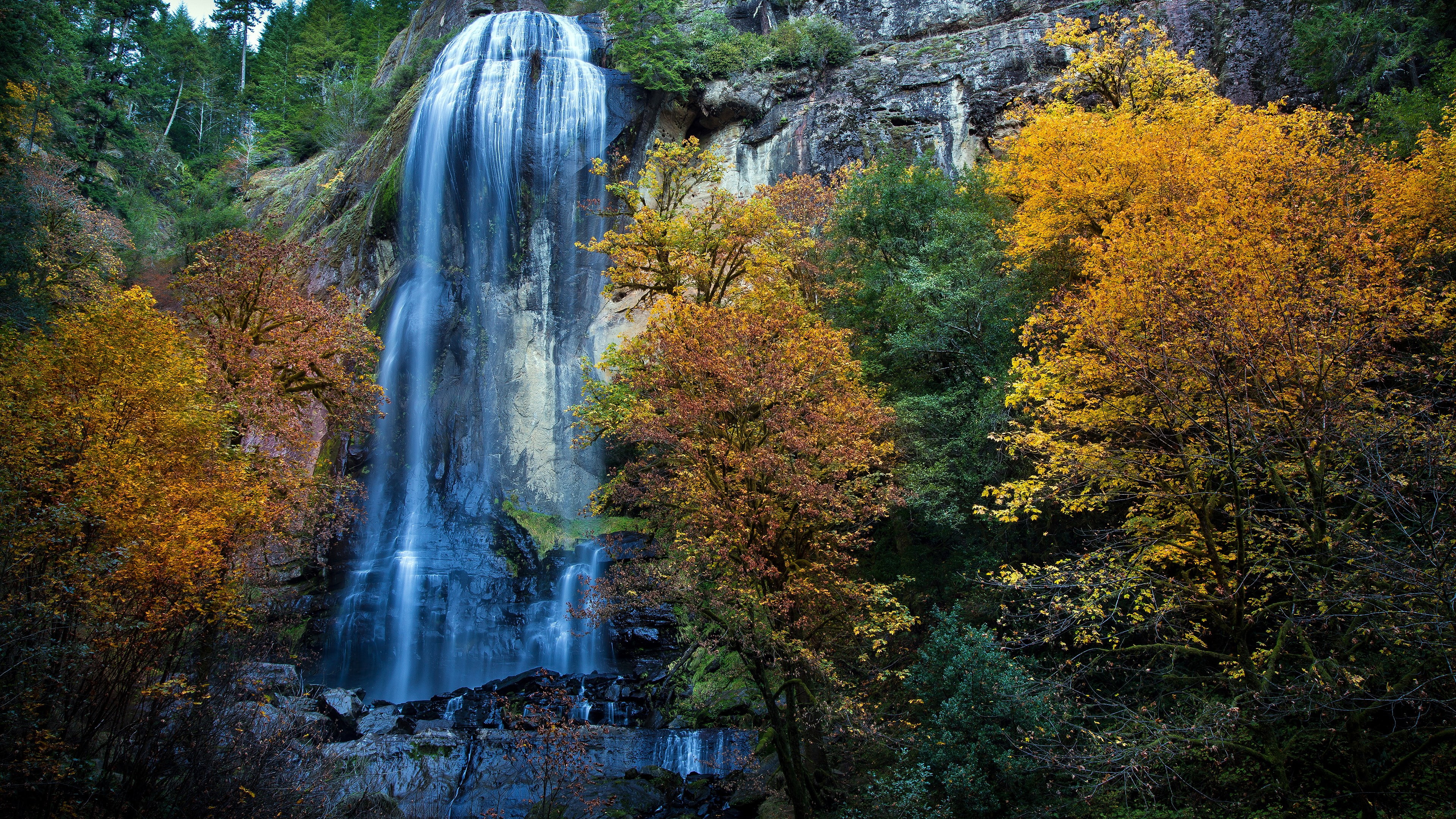 4K, forest, motion, flowing, change, plant, nature, flowing water, power in nature, long exposure, scenics - nature, day, no people, waterfall, autumn collection, HD Wallpaper