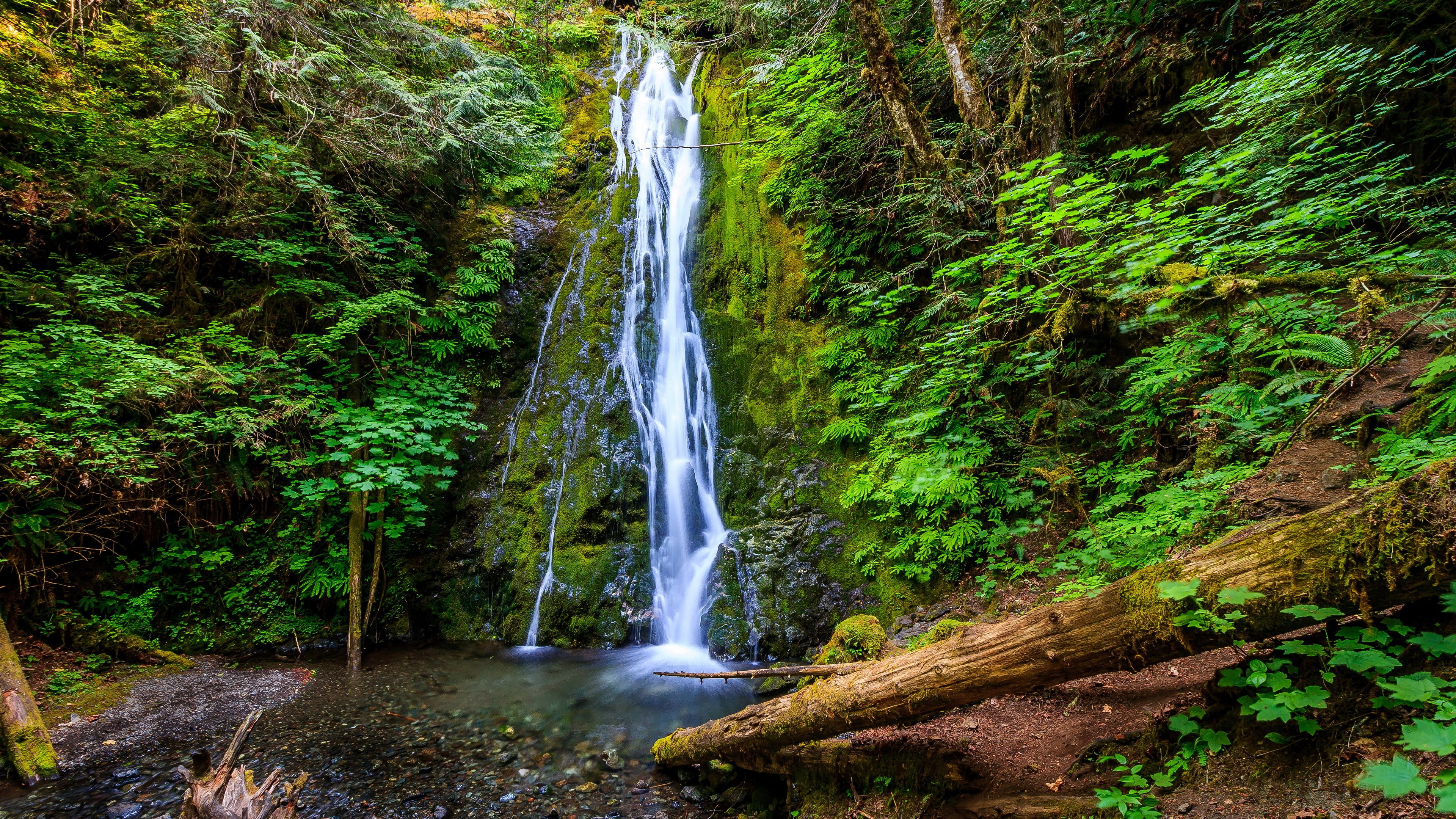 environment, flowing water, tree, nature, blurred motion, land, 4K, nature  for desktop download 3840x2160, beauty in nature, waterfall, falling water, HD Wallpaper