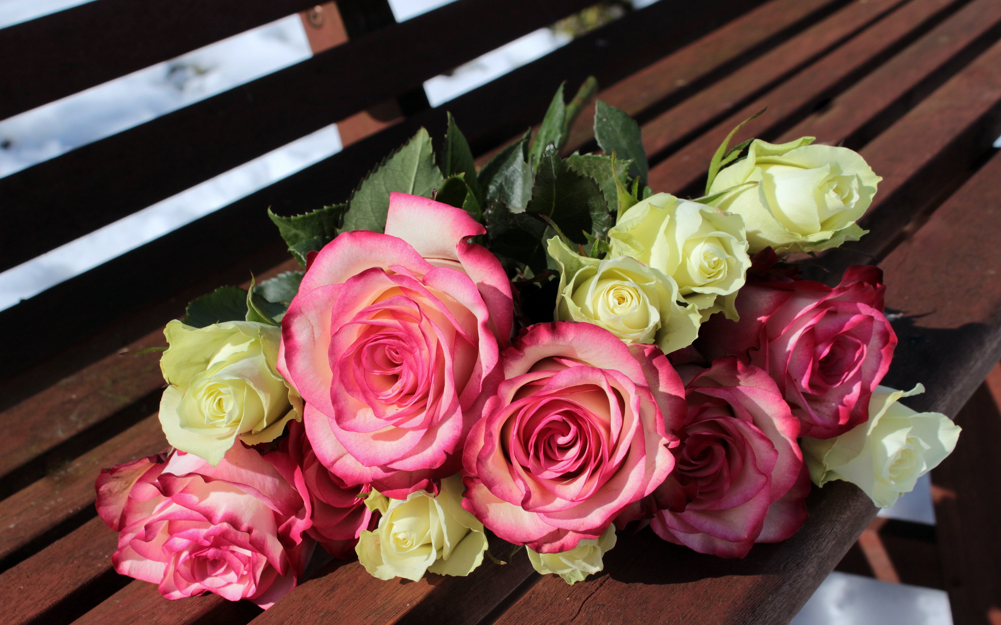 buds, bouquet backgrounds, bench, Background Ultra HD 4K, roses, 4K, download 3840x2400 roses, HD Wallpaper