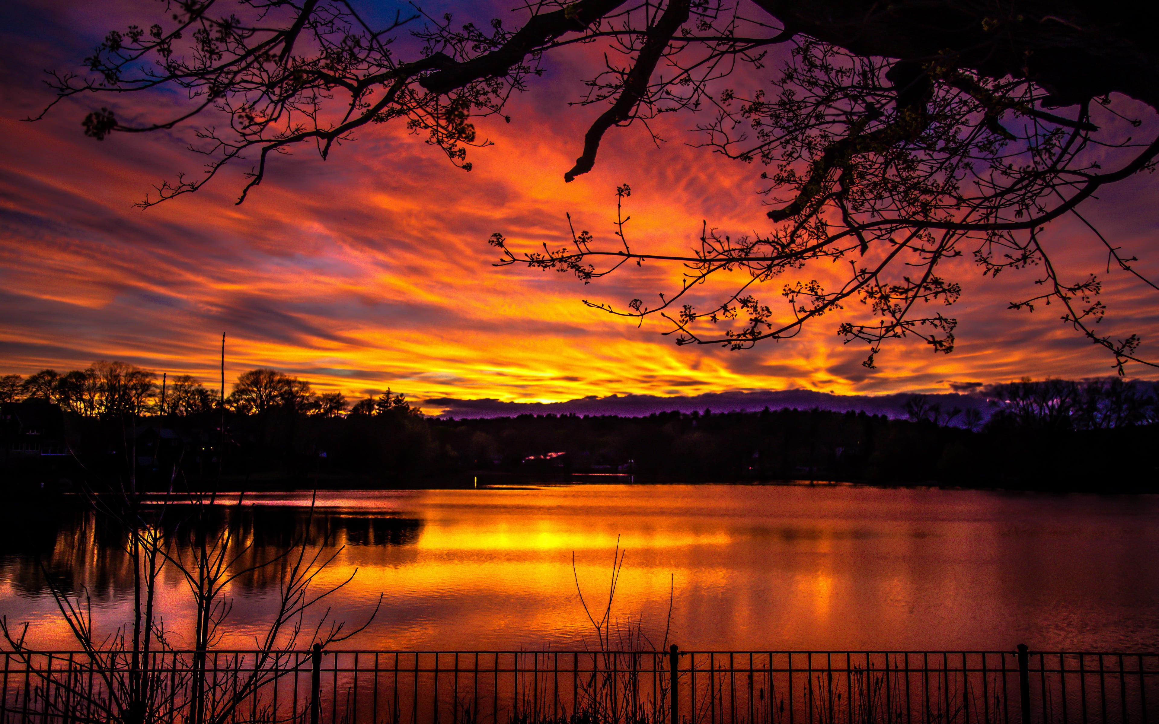 lake, branches, blur, landscapes, 4k ultra hd background, trees, sky, sunset, dark, 4K, colorful, nature, dusk, reflection, HD Wallpaper