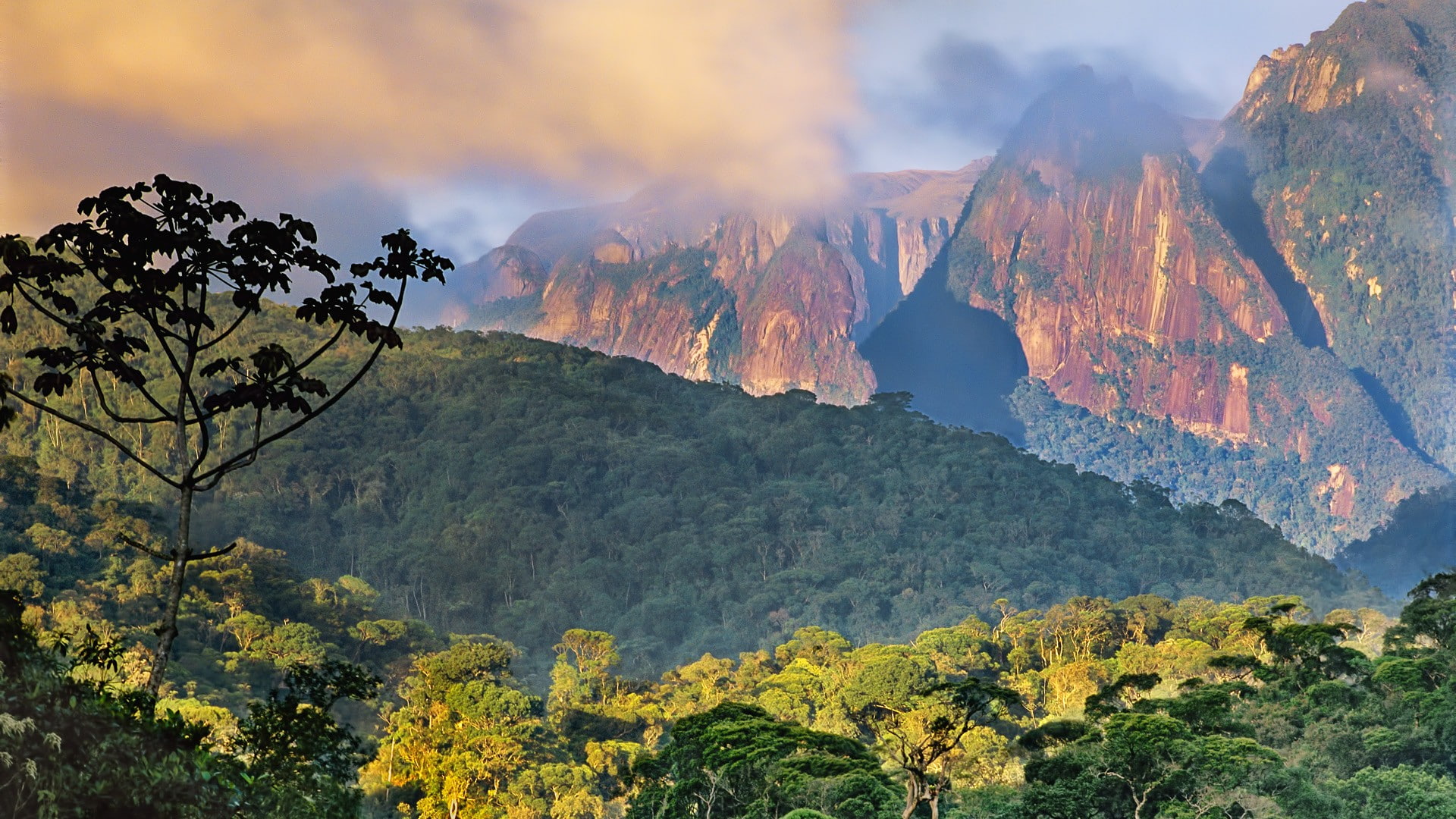 landscape, 1080P, nature, mountains, jungle, brown, forest, green, trees, hd, HD Wallpaper