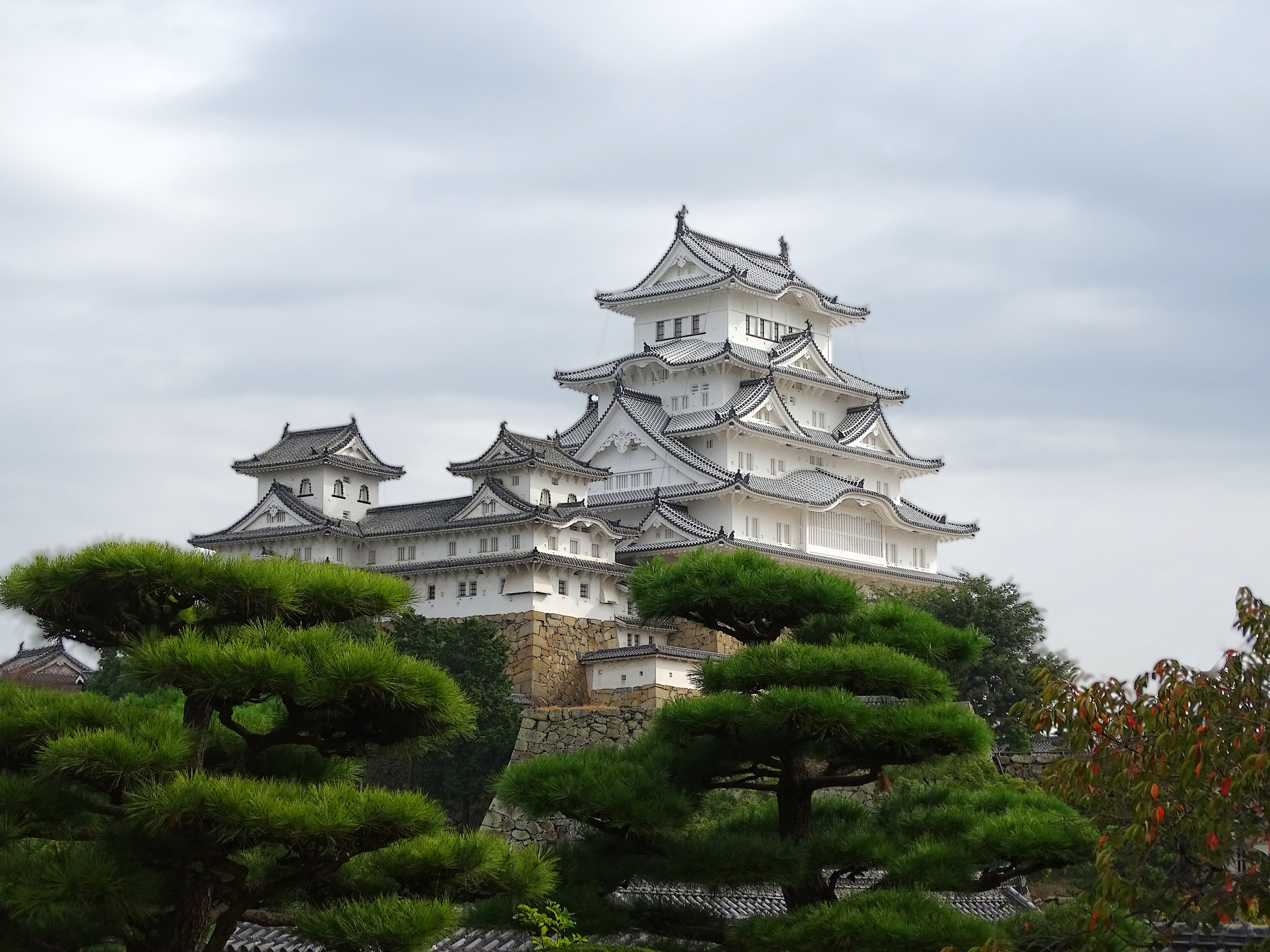 growth, built structure, green color, building, place of worship, travel destinations, himeji castle, nature, spire, sky, plant, cloud - sky, building exterior, HD Wallpaper