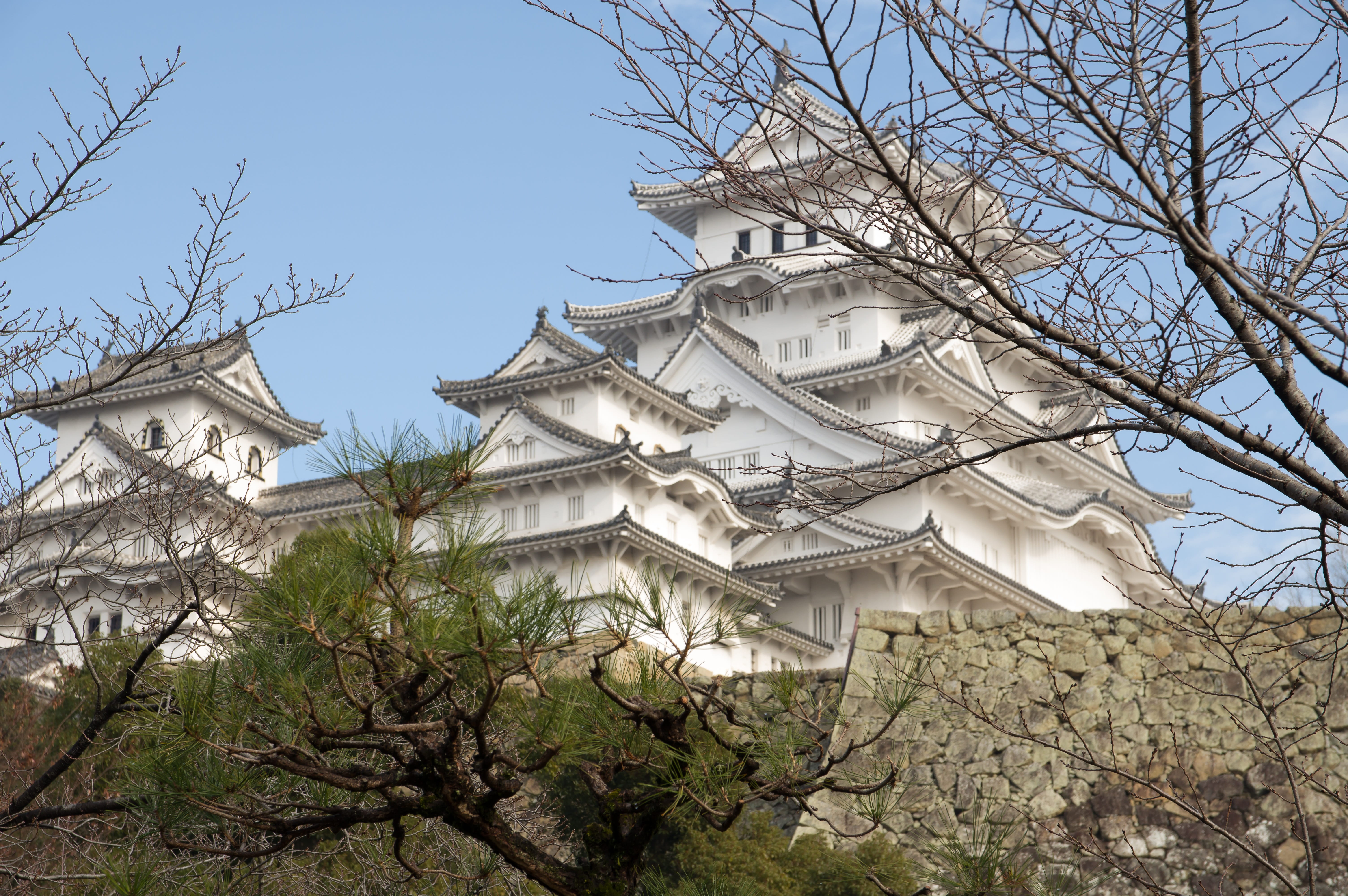 himeji, japan, architecture, bare tree, belief, building, tree, place of worship, plant, outdoors, low angle view, built structure, clear sky, 5K, building exterior, HD Wallpaper