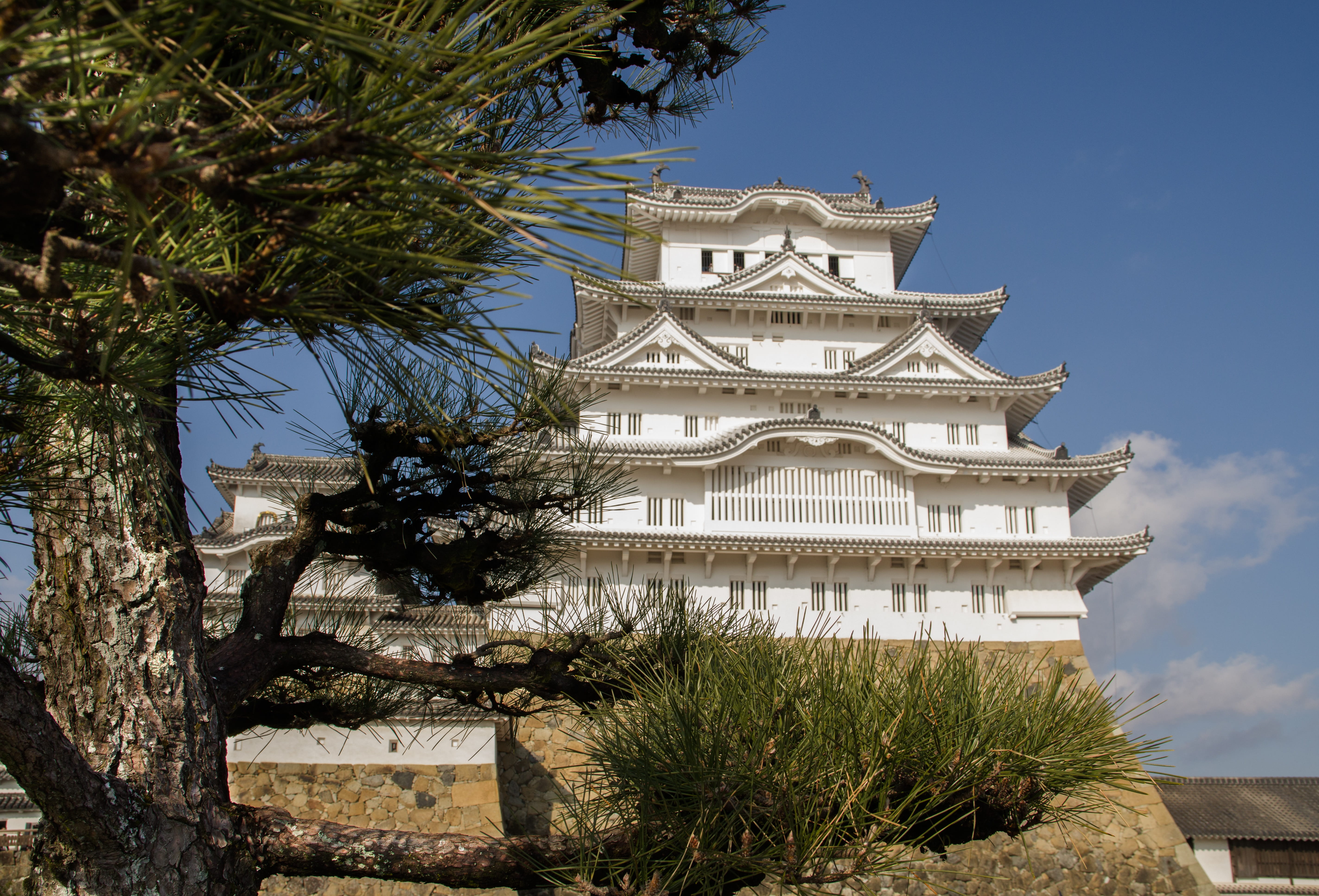day, history, no people, belief, built structure, 5K, nature, religion, castle, japan, the past, plant, building exterior, low angle view, building, sky, HD Wallpaper