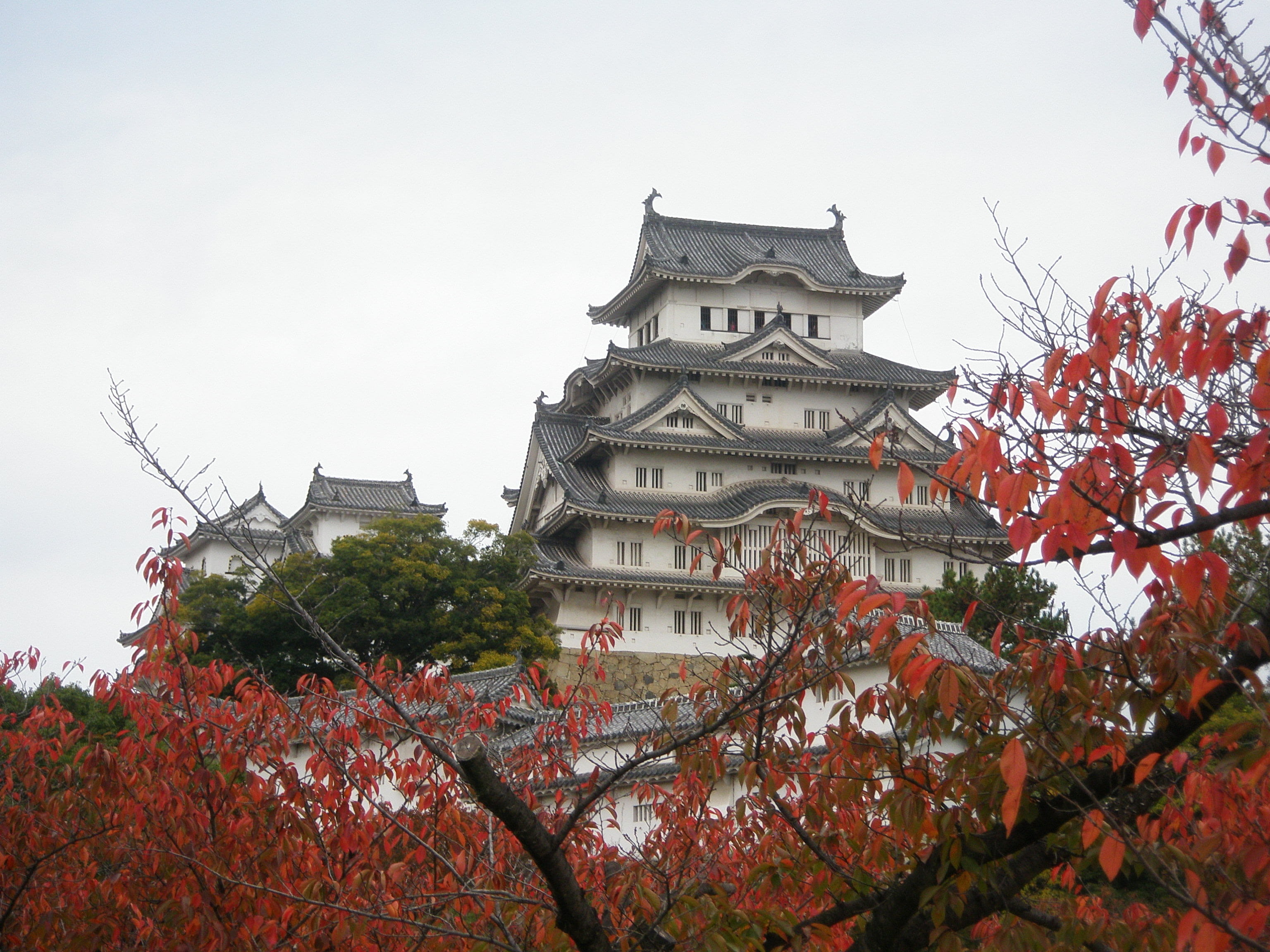 built structure, himeji, no people, japan, temple, concrete, tourism, autumn, outdoors, white, place of worship, building exterior, heritage, sky, plant, HD Wallpaper