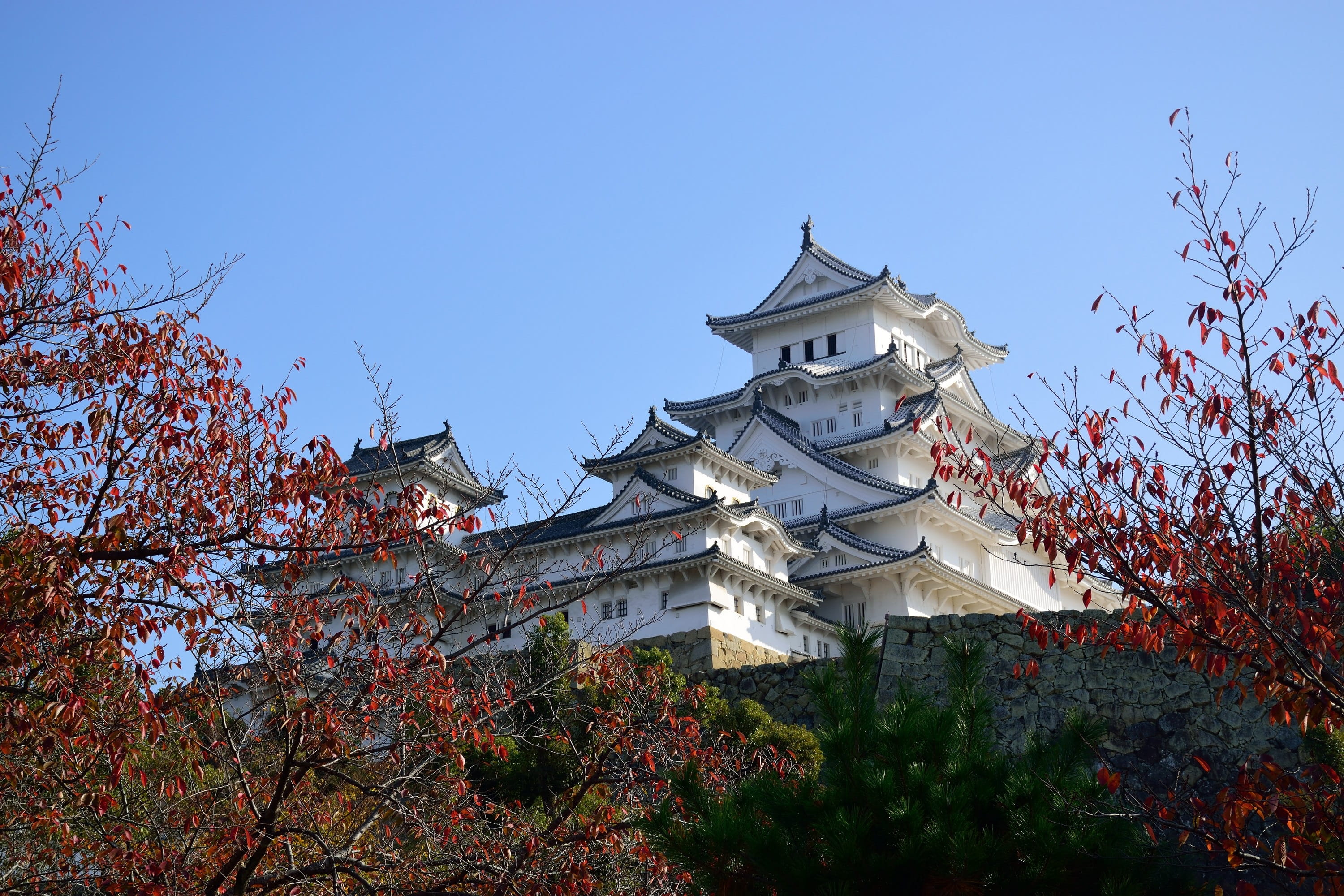 asia, sky, tree, day, nature, clear sky, belief, change, autumn, place of worship, heritage, architecture, building, 2K, outdoors, building exterior, religion, HD Wallpaper