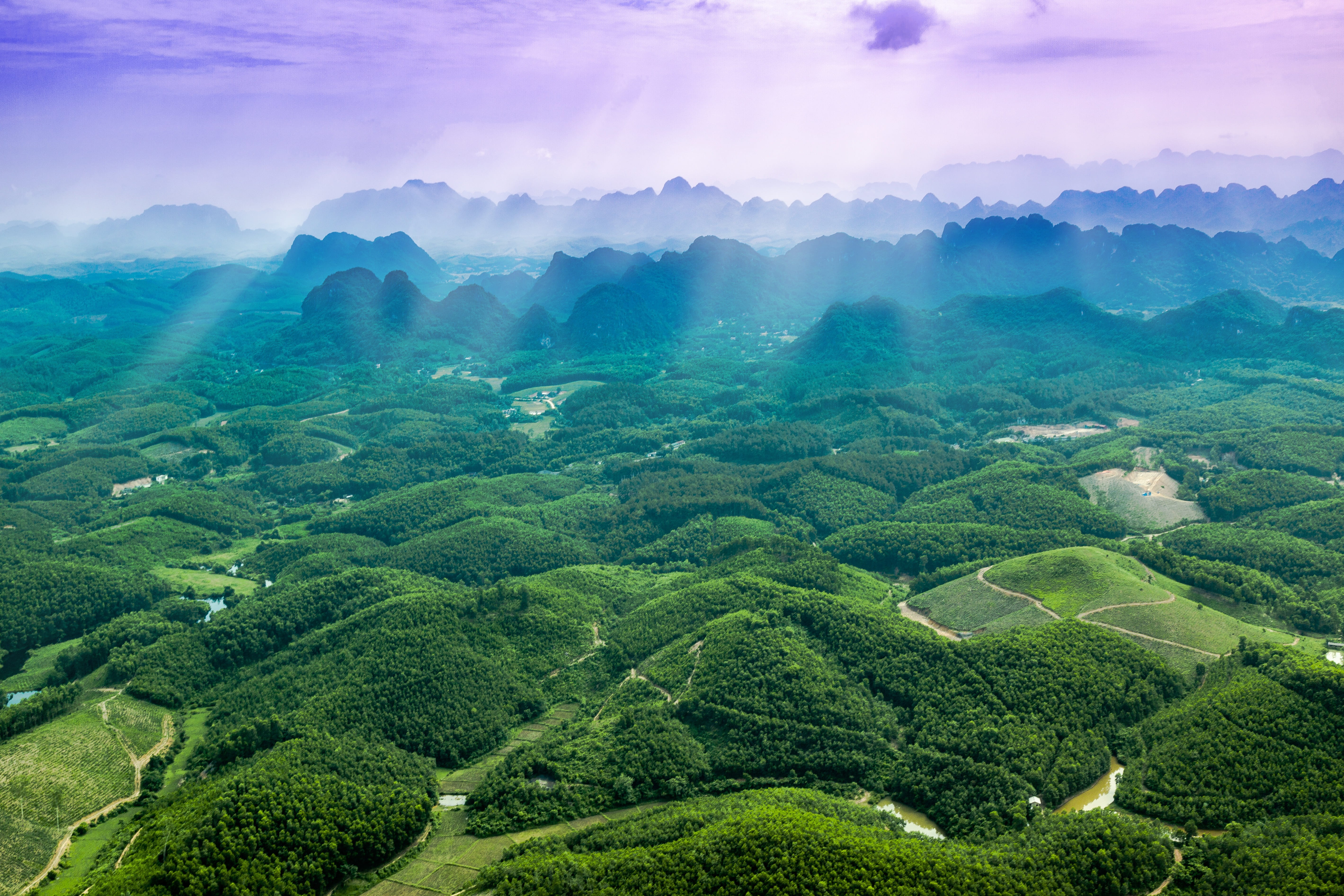 rural scene, no people, ninh binh province, nature, eye, land, sun, tropical tree, plant, tea crop, morning, sky, field, plantation, lush, mountain, fog, HD Wallpaper