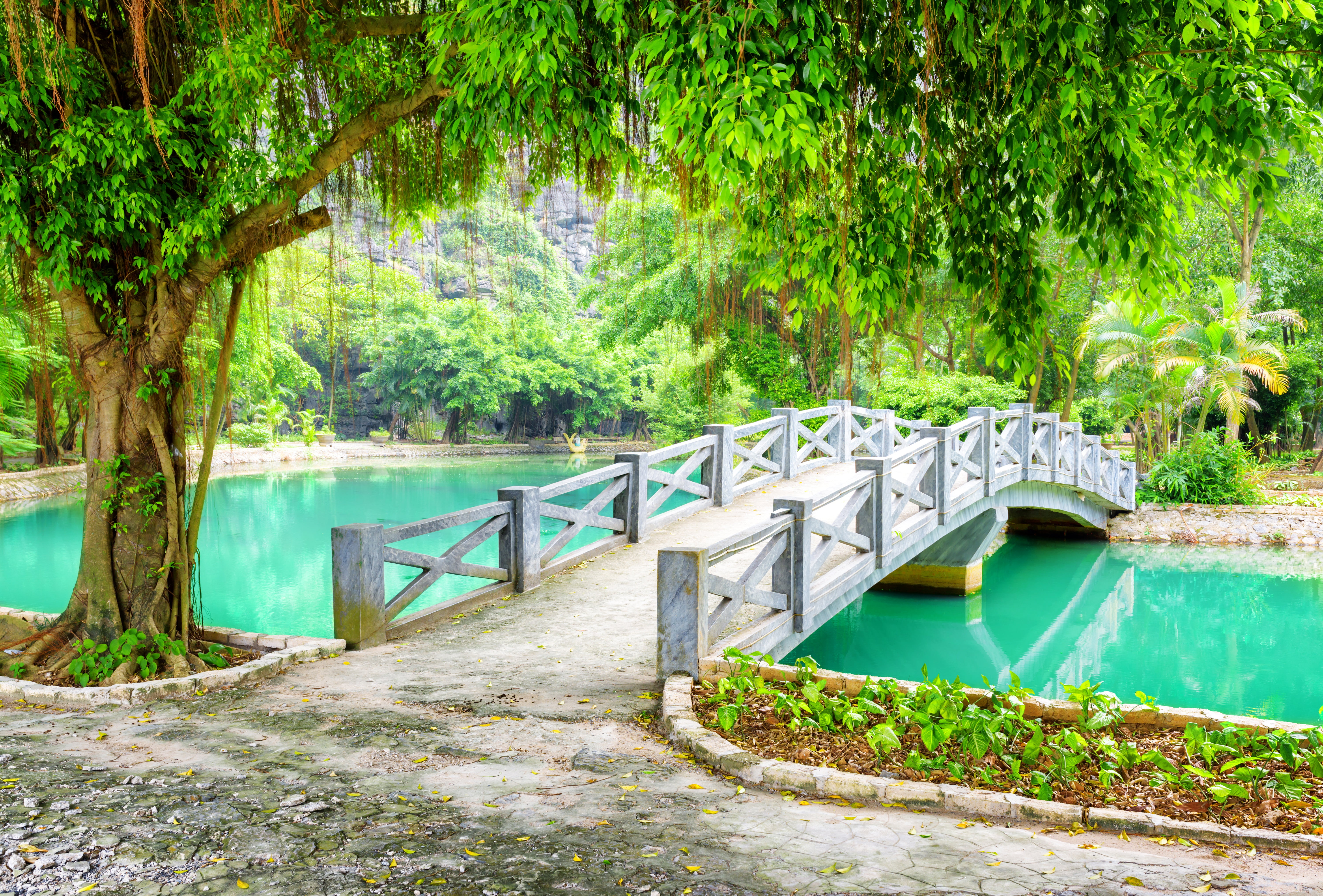 railing, architecture, bridge, forest, 5K, branches, Province, growth, Park, nature, outdoors, Ninh Binh, day, built structure, greens, the bridge, tree, HD Wallpaper
