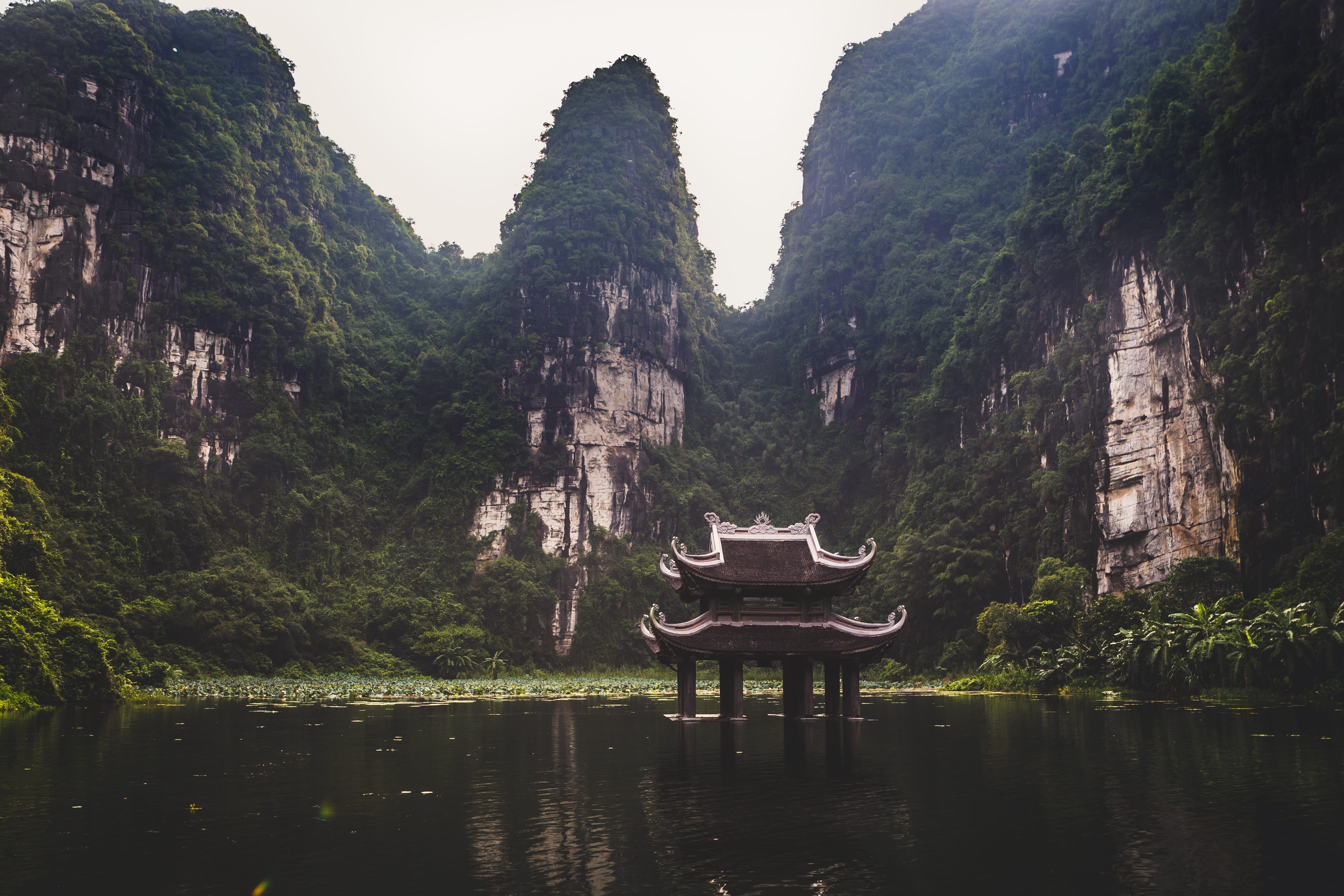 nature, plant, built structure, no people, tree, 5K, vietnam, mountain, outdoors, lake, tranquil scene, architecture, beauty in nature, growth, day, waterfront, HD Wallpaper