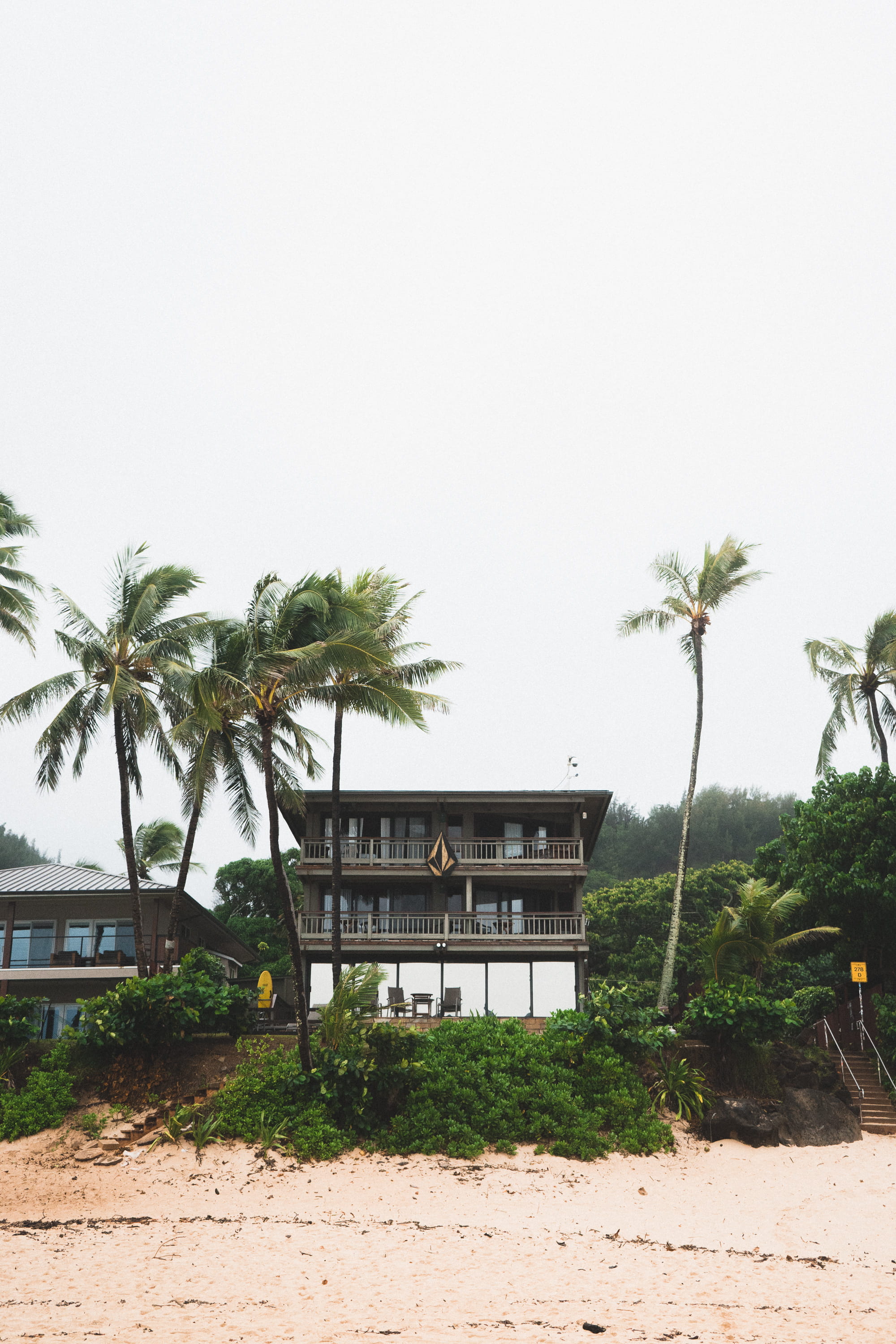 green, palm, building, sky, architecture, green color, near, tropical Climate, outdoors, concrete, coconut palm tree, growth, palm Tree, nature, black, Phone HD Wallpaper
