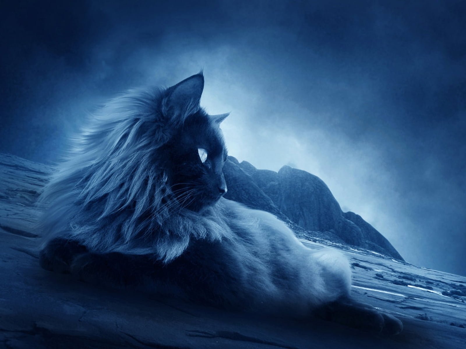 720P, Cooler Master, Desktopography, HD Wallpaper