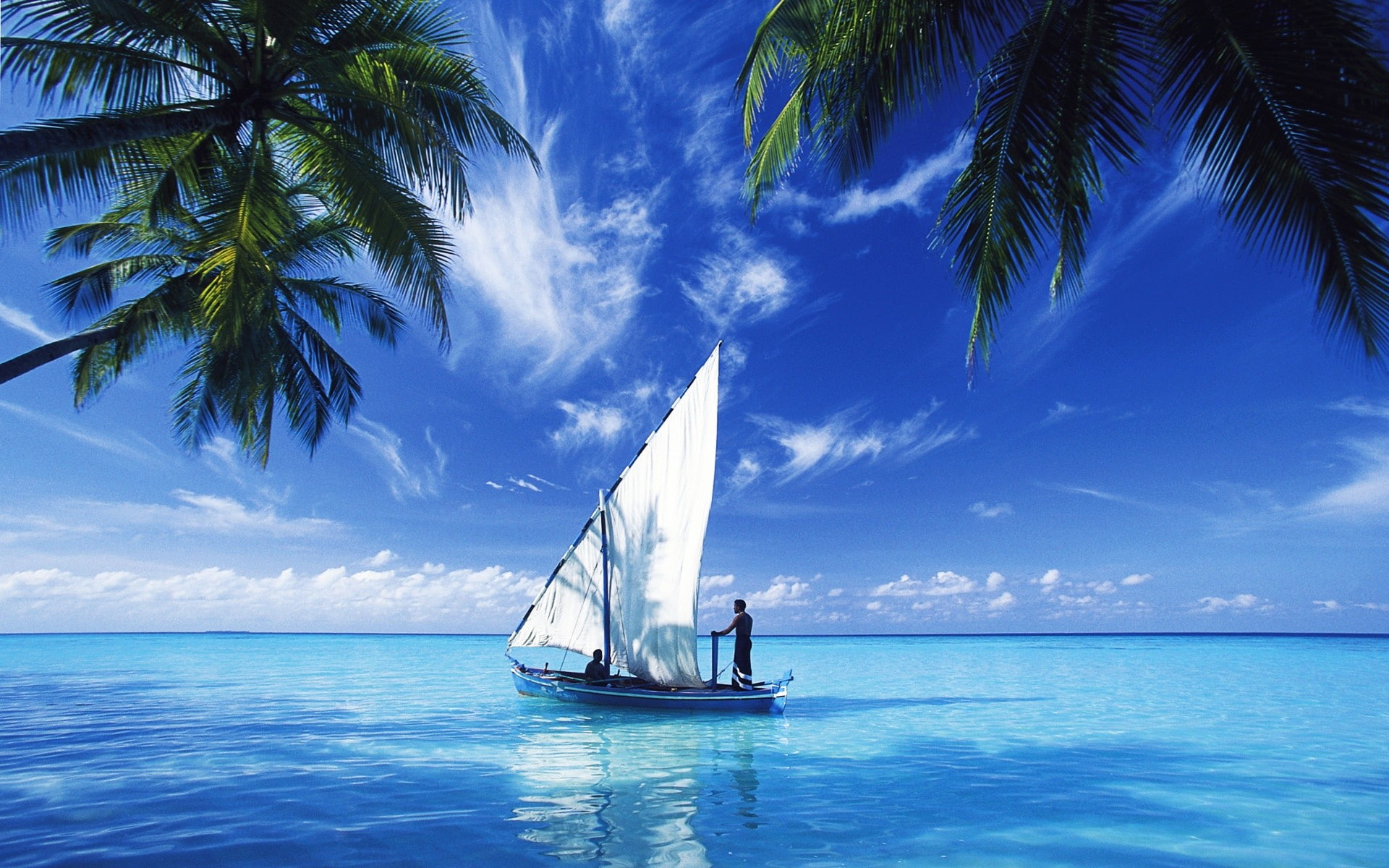 sea, sailing ship, boat, palm trees, 1080P, HD Wallpaper