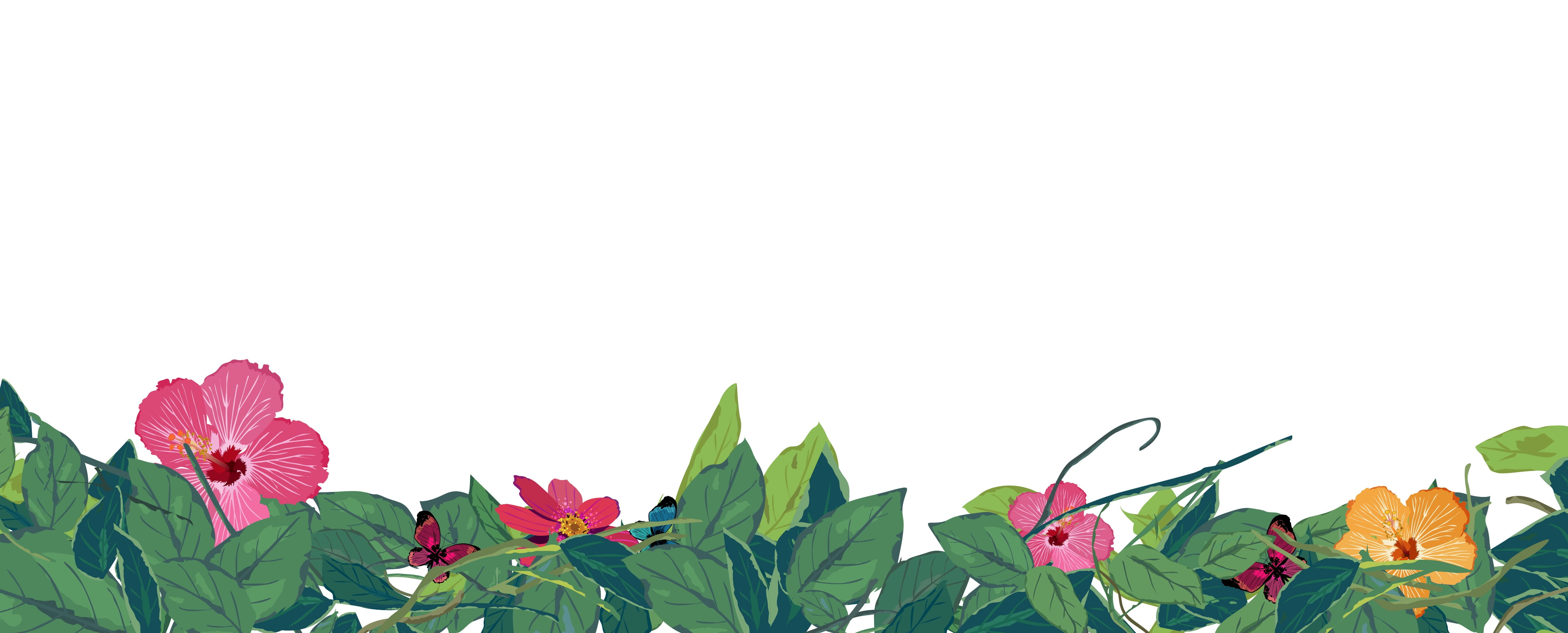 plant part, floral pattern, studio shot, spring, creative, decoration, flowering plant, freshness, copy space, multi colored, flower, beauty in nature, HD Wallpaper