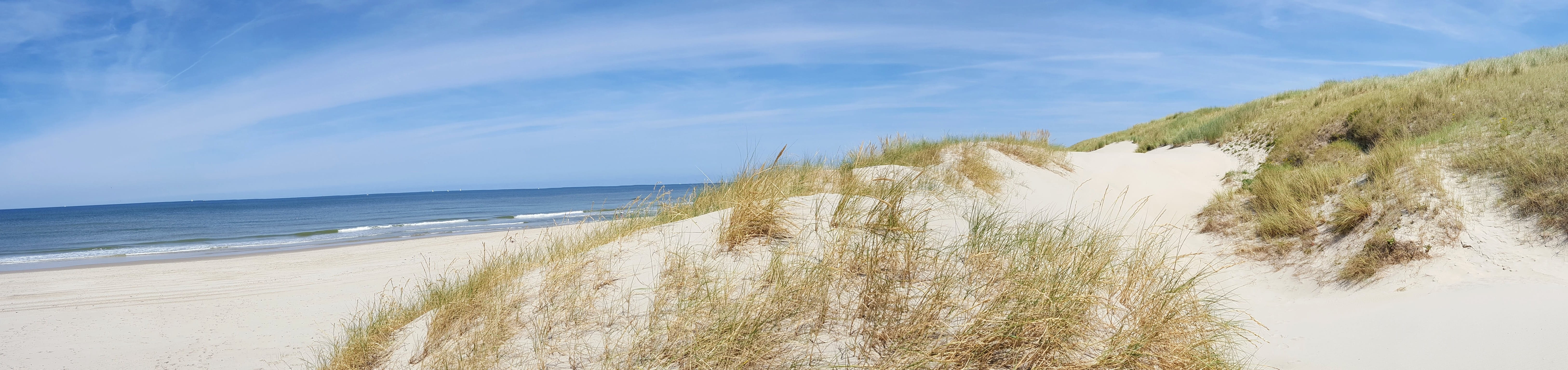 tranquil scene, land, schönwetter, outdoors, marram grass, panorama, beach, nature, tranquility, plant, landscape, sea, horizon, waters, grass, beauty in nature, HD Wallpaper