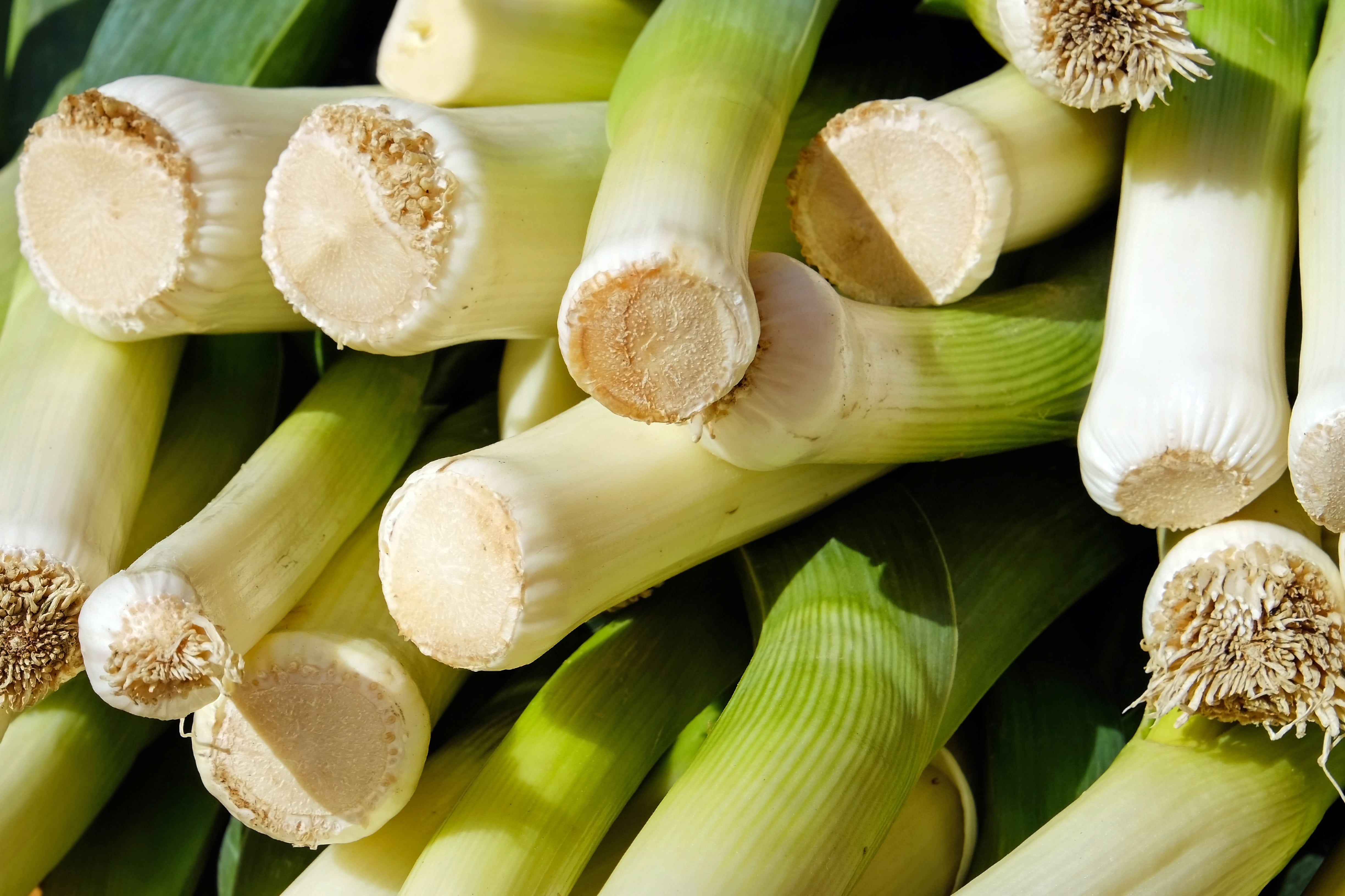 agriculture, market fresh vegetables, freshness, full frame, welsch onion, nutrition, food, nature, leek greenhouse, celery, 4K, broadband leek, vegetable, HD Wallpaper