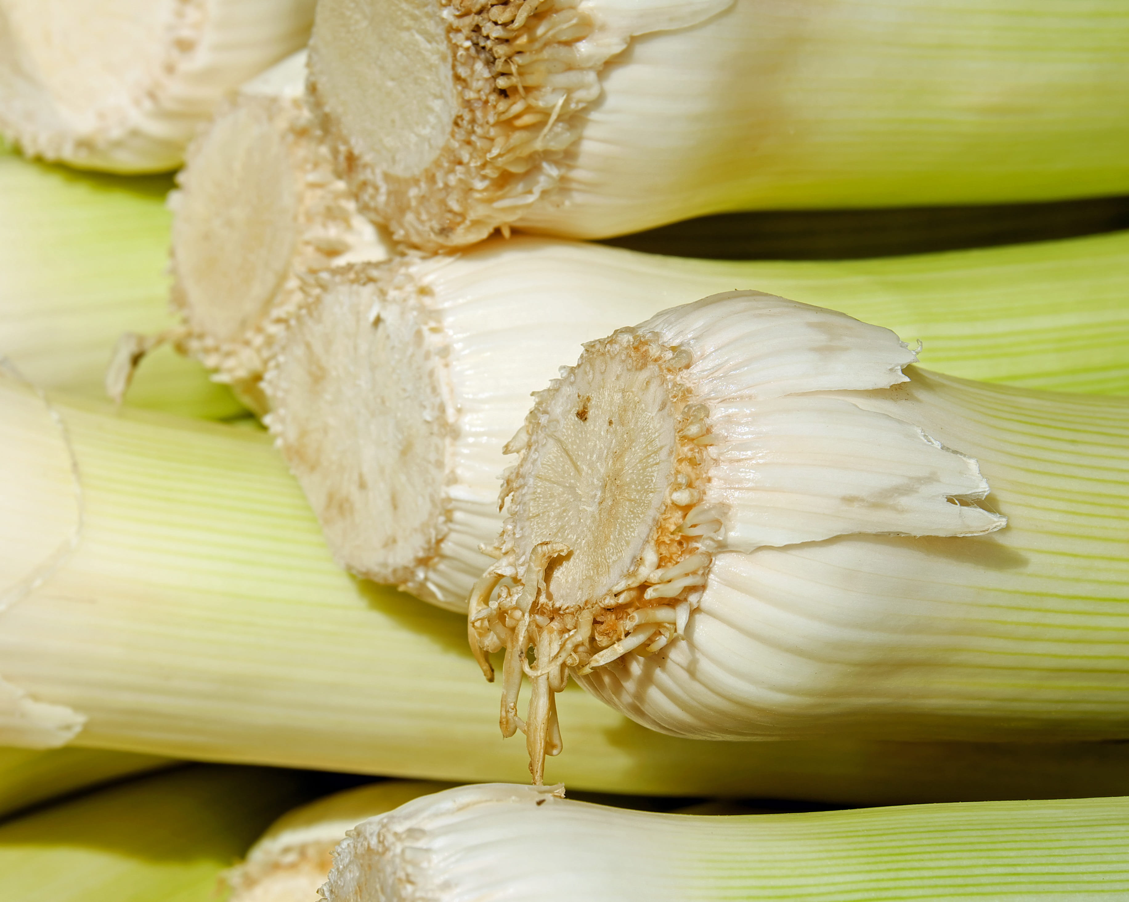 field garlic, nutrition, wellbeing, cereal plant, vegetables, winter leek, vegetable, day, nature, still life, no people, indoors, healthy, corn on the cob, HD Wallpaper