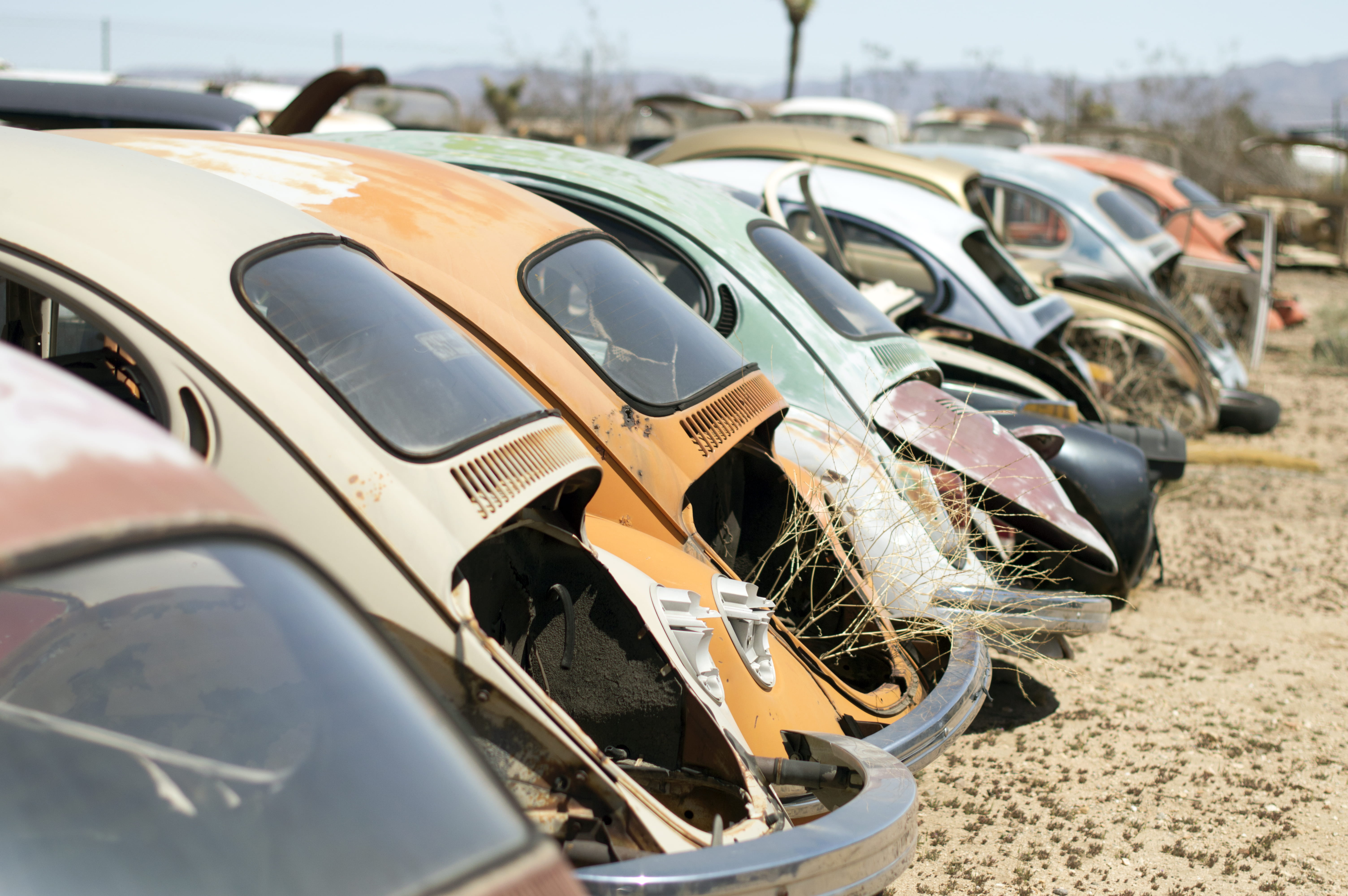 motor vehicle, volkswagen, united states, 5K, selective focus, wheel, vehicle, mobile, hesperia, desert, abundance, focus on foreground, metal, cars, volkswagen bug, HD Wallpaper