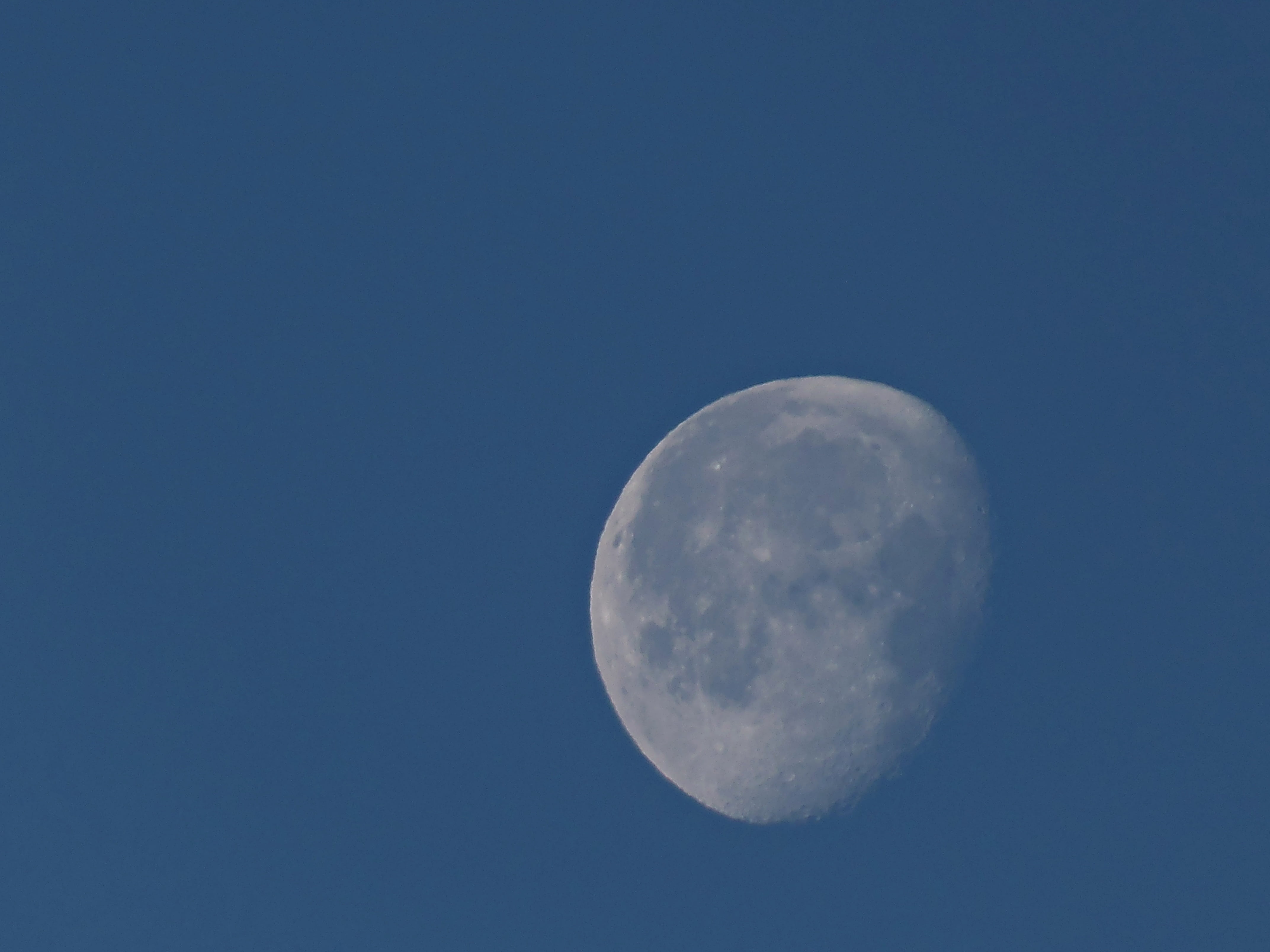 sky, copy space, astronomy, space, moon surface, beauty in nature, circle, silvery moon, january moon, no people, outdoors, low angle view, astrology, blue, HD Wallpaper