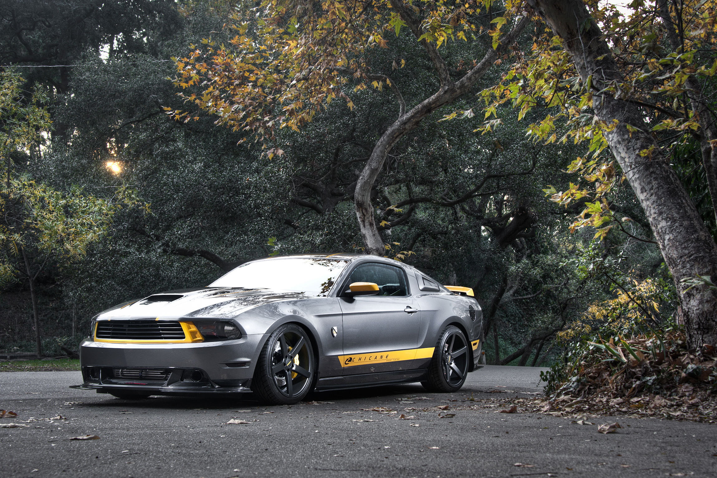 mode of transportation, no People, sedan, mode of Transport, germany, power, tree, grey, gt, sport, modern, muscle car, nature, front View, retro styled, HD Wallpaper
