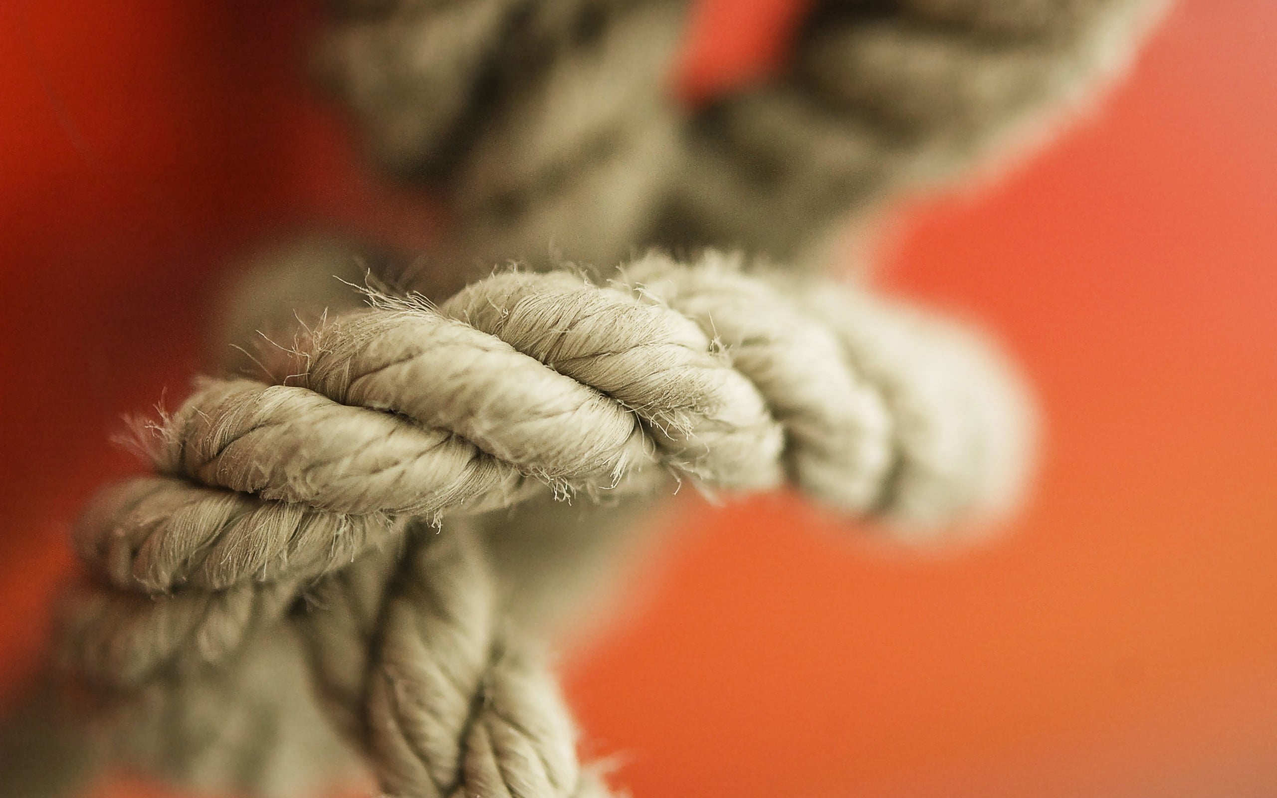 tied Knot, clothing, strength, cloth, warm clothing, focus on foreground, close-up, string, 2K, skill, wool, textile, selective focus, adult, backgrounds, HD Wallpaper