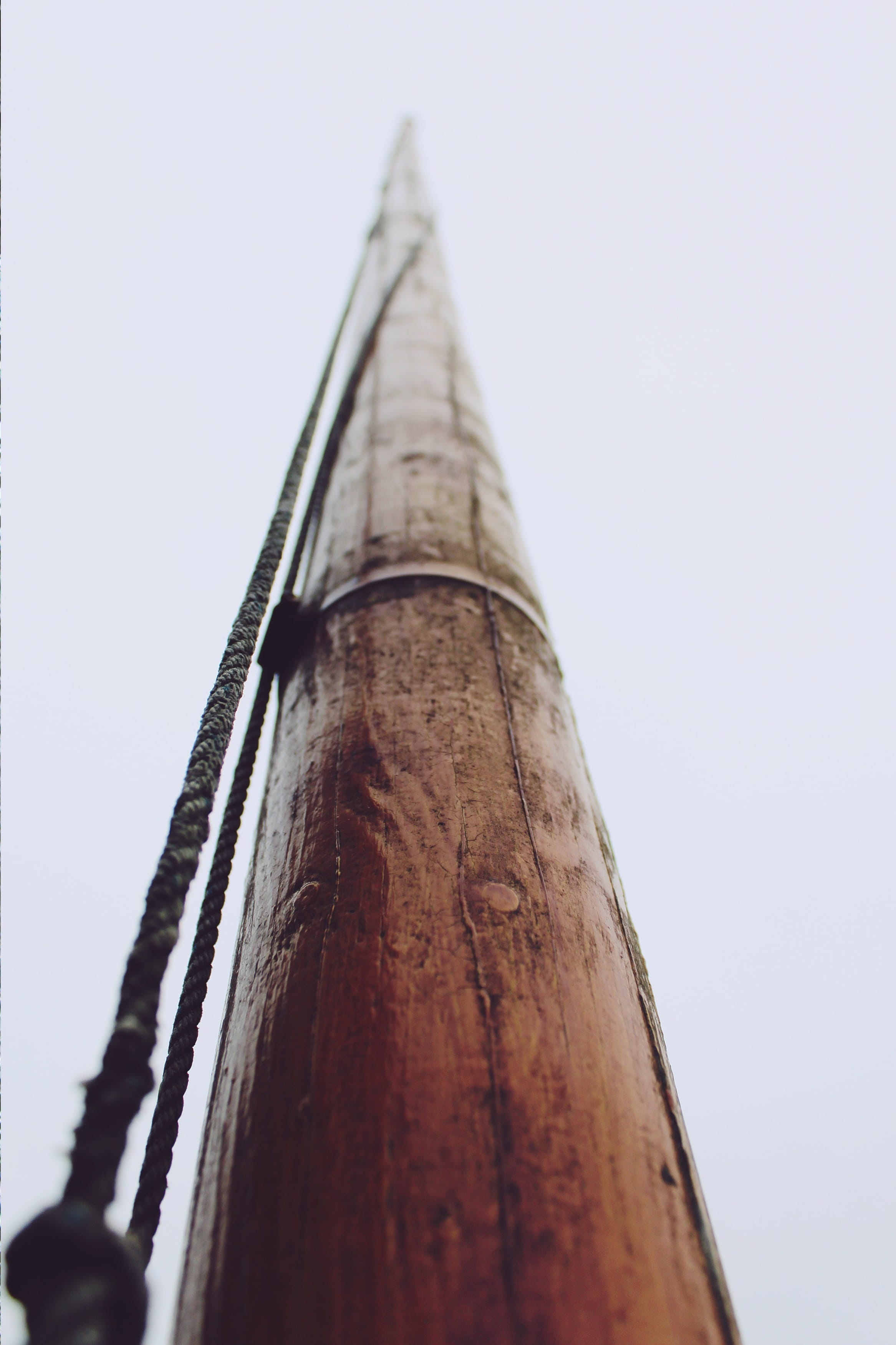nature, strand, hanging, knot, no people, fixing, Rope, clear sky, focus on foreground, 2K, selective focus, wood - material, day, built structure, woven, Phone HD Wallpaper